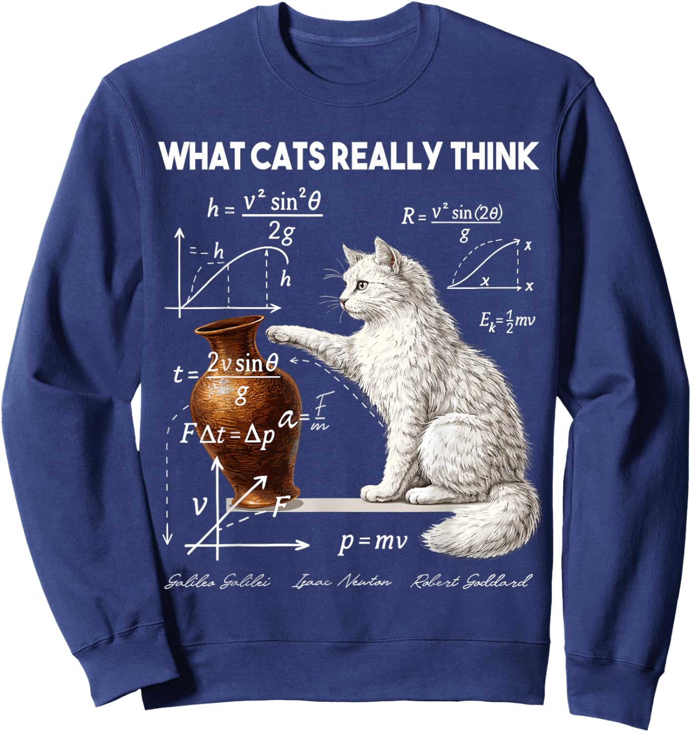 Funny Physics What Cats Really Think Math Humor Sweatshirt - Sweatshirt | Navy