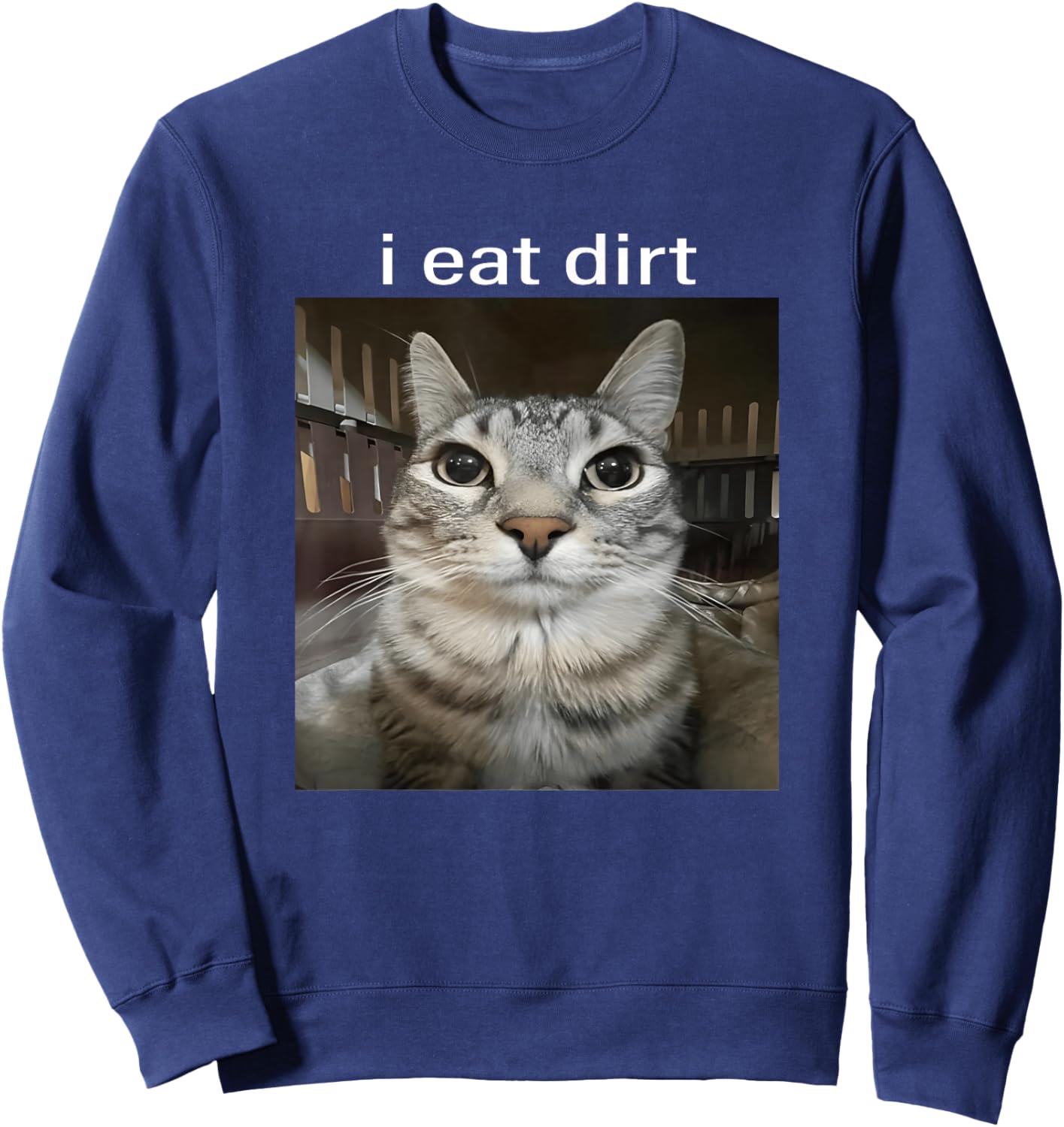 I Eat Dirt Staring Cat Funny Cursed Meme Brainrot Silly Sweatshirt - Sweatshirt | Navy