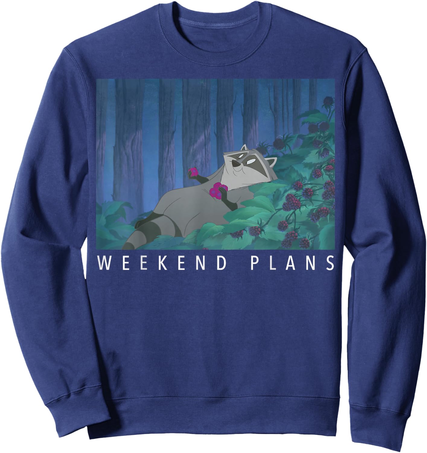 Disney Pocahontas Meeko Weekend Plans Sweatshirt - Sweatshirt | Navy