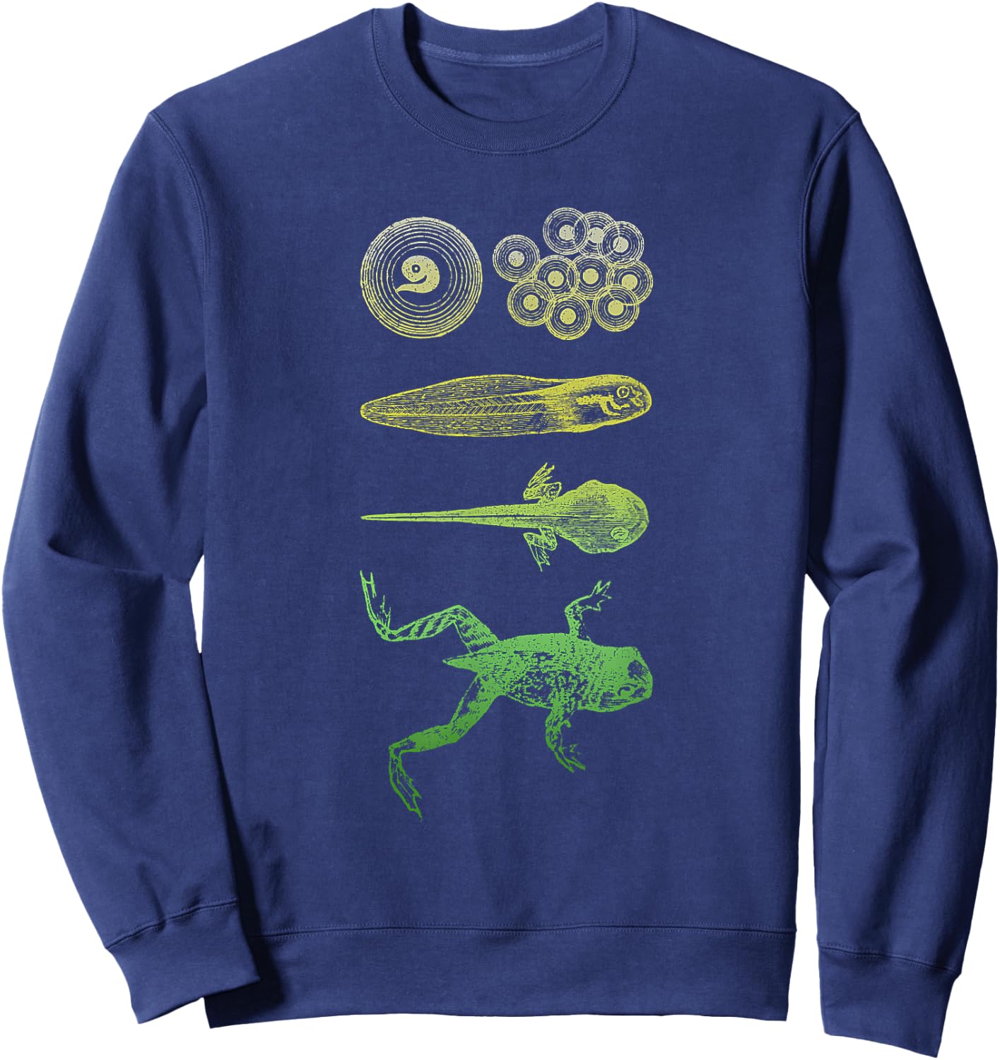 Frog Tadpole Metamorphosis Life Cycle Biology Sweatshirt - Sweatshirt | Navy