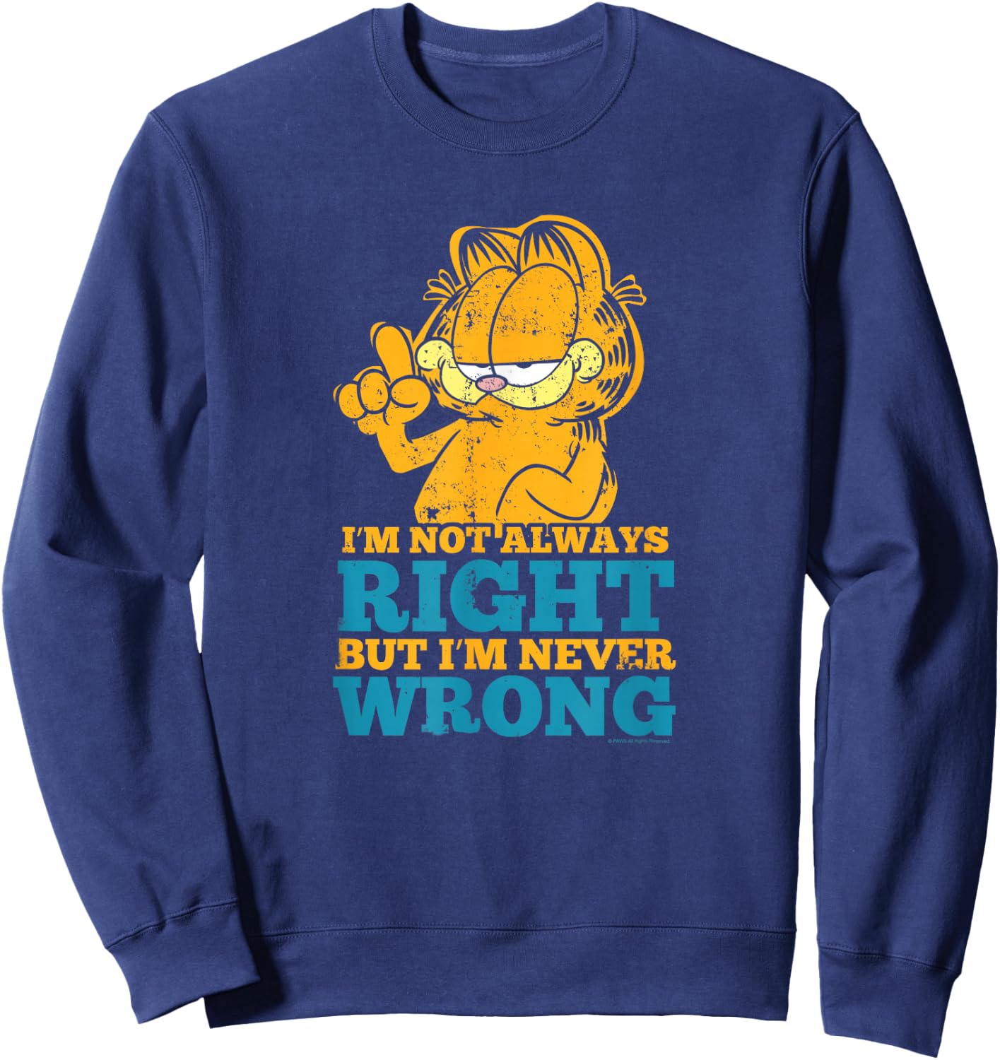 Garfield Never Wrong Sweatshirt - Sweatshirt | Navy