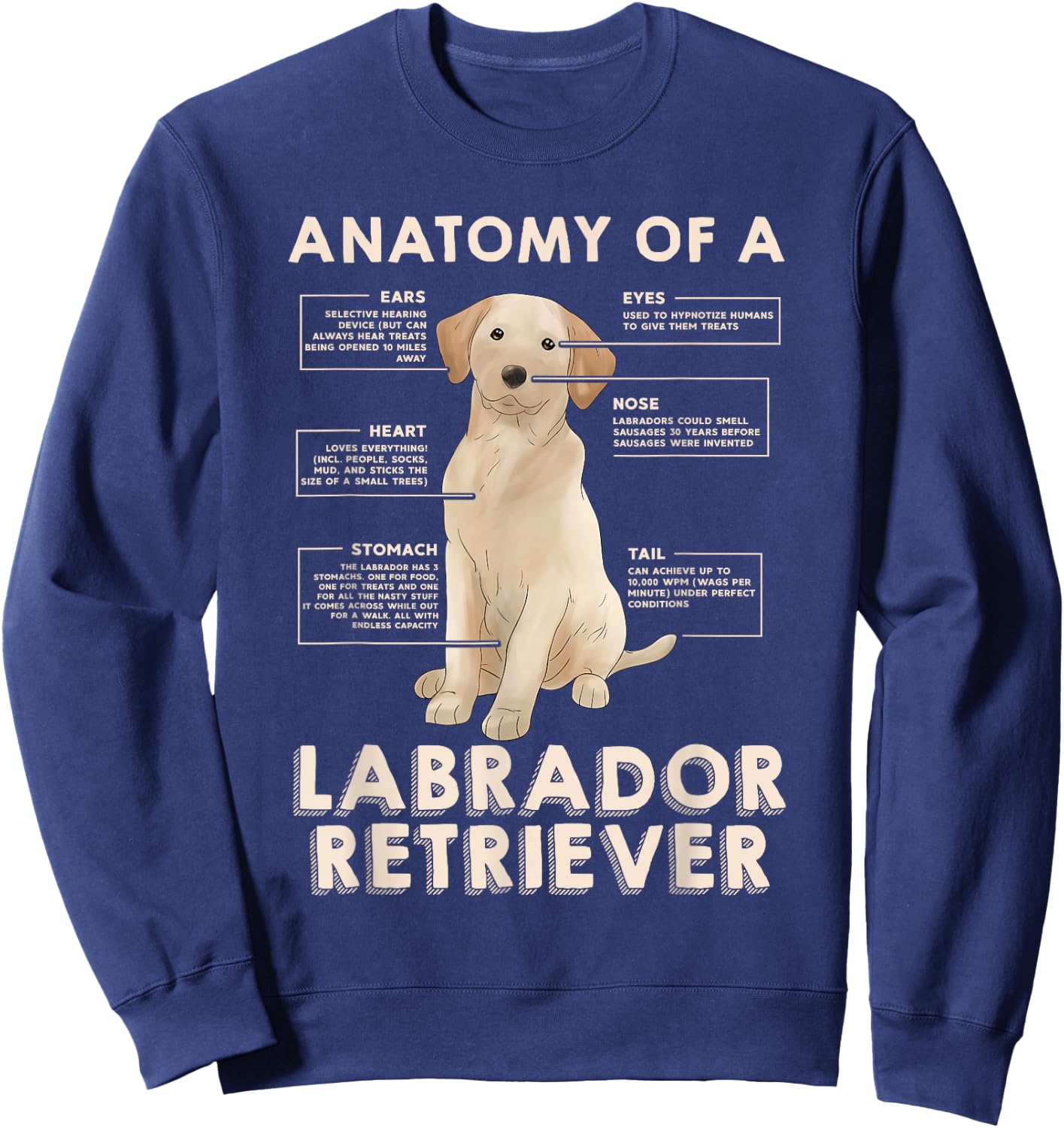 Funny Anatomy of a Labrador Retriever Graphic with Saying Sweatshirt - Sweatshirt | Navy