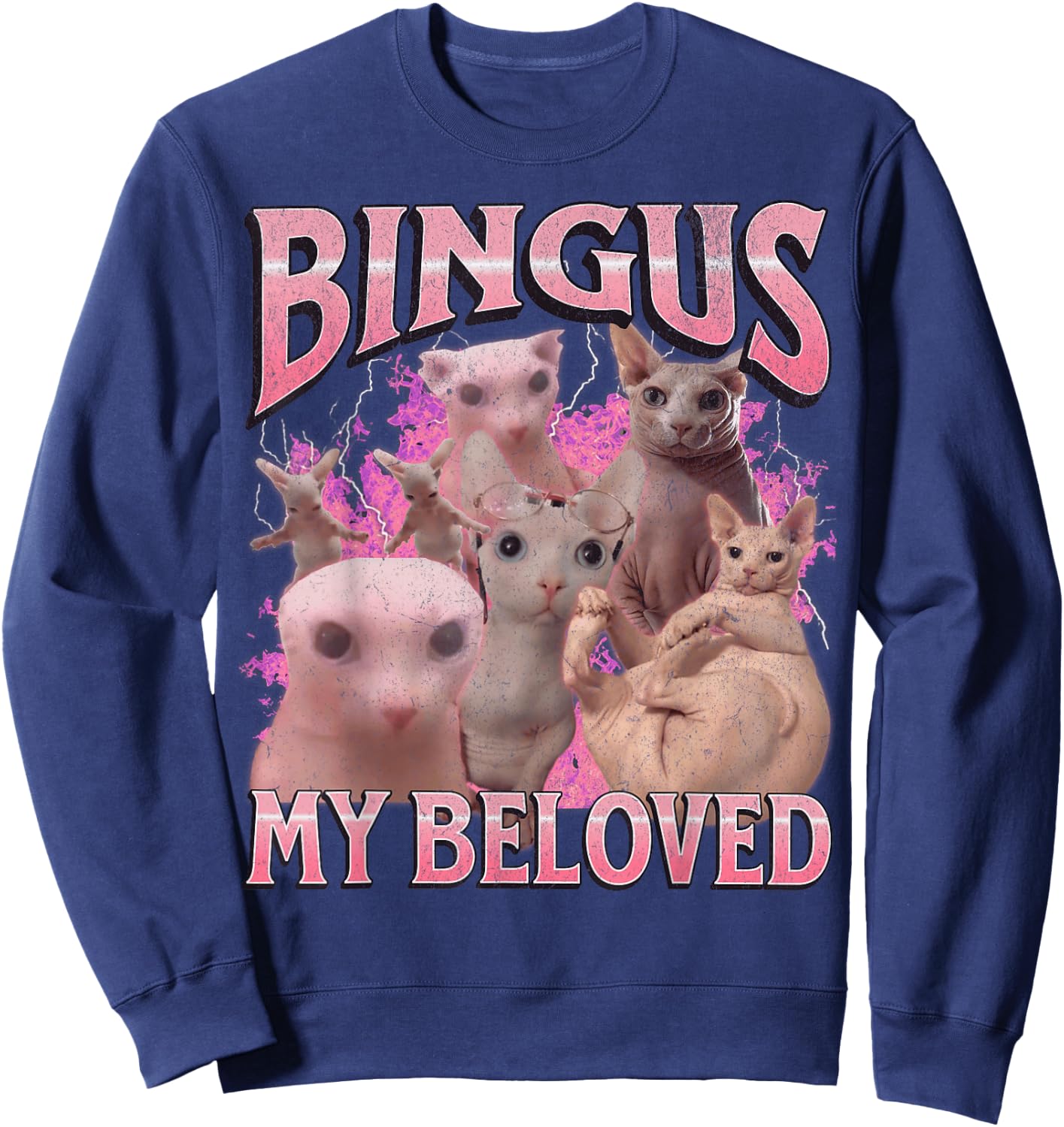 Bingus My Beloved Funny Sphinx Cat Meme Bootleg Graphic Women Kids Sweatshirt - Sweatshirt | Navy