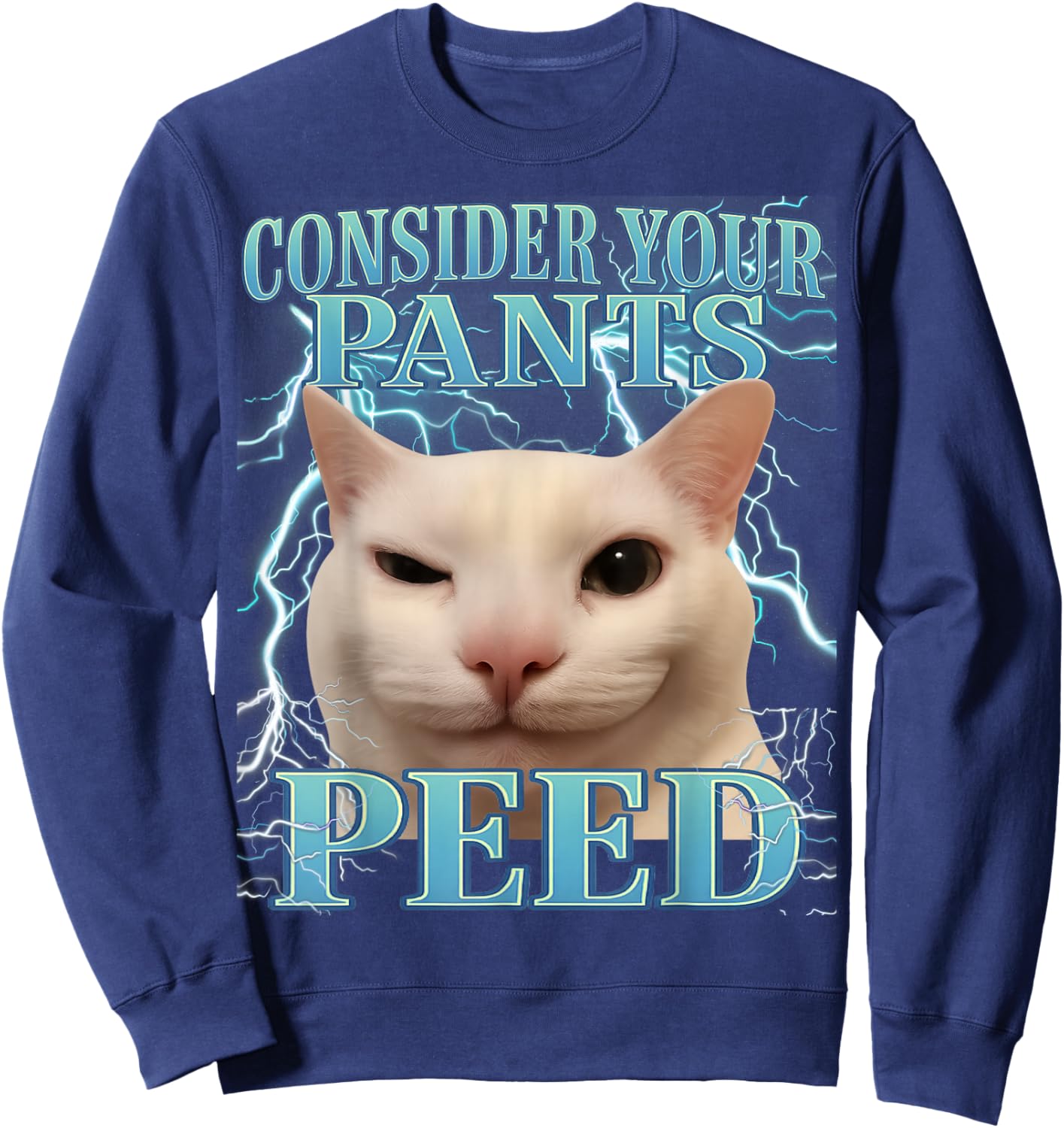 Consider Your Pants Peed Silly Cat Meme Men Women Graphic Sweatshirt - Sweatshirt | Navy