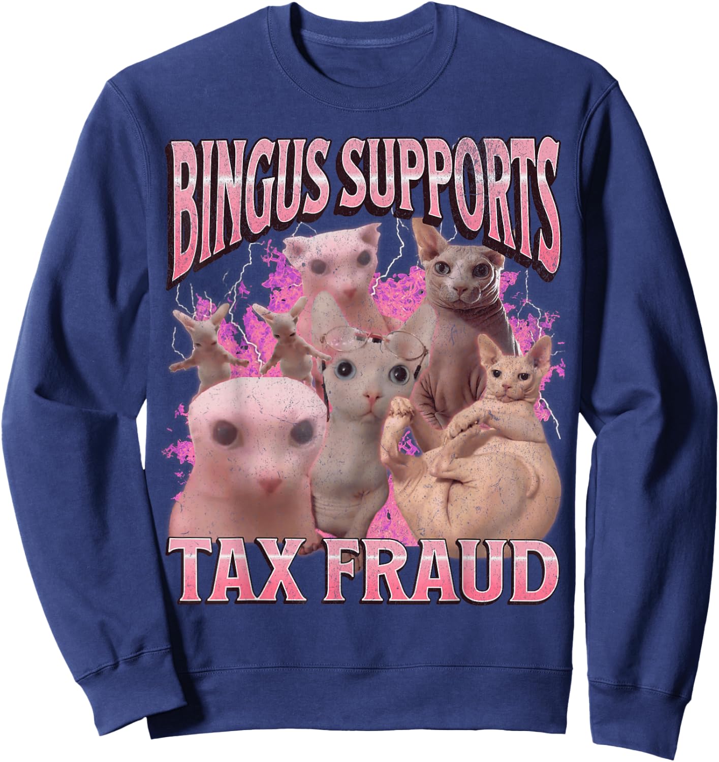 Bingus Supports Tax Fraud Funny Sphinx Cat Meme Bootleg Sweatshirt - Sweatshirt | Navy