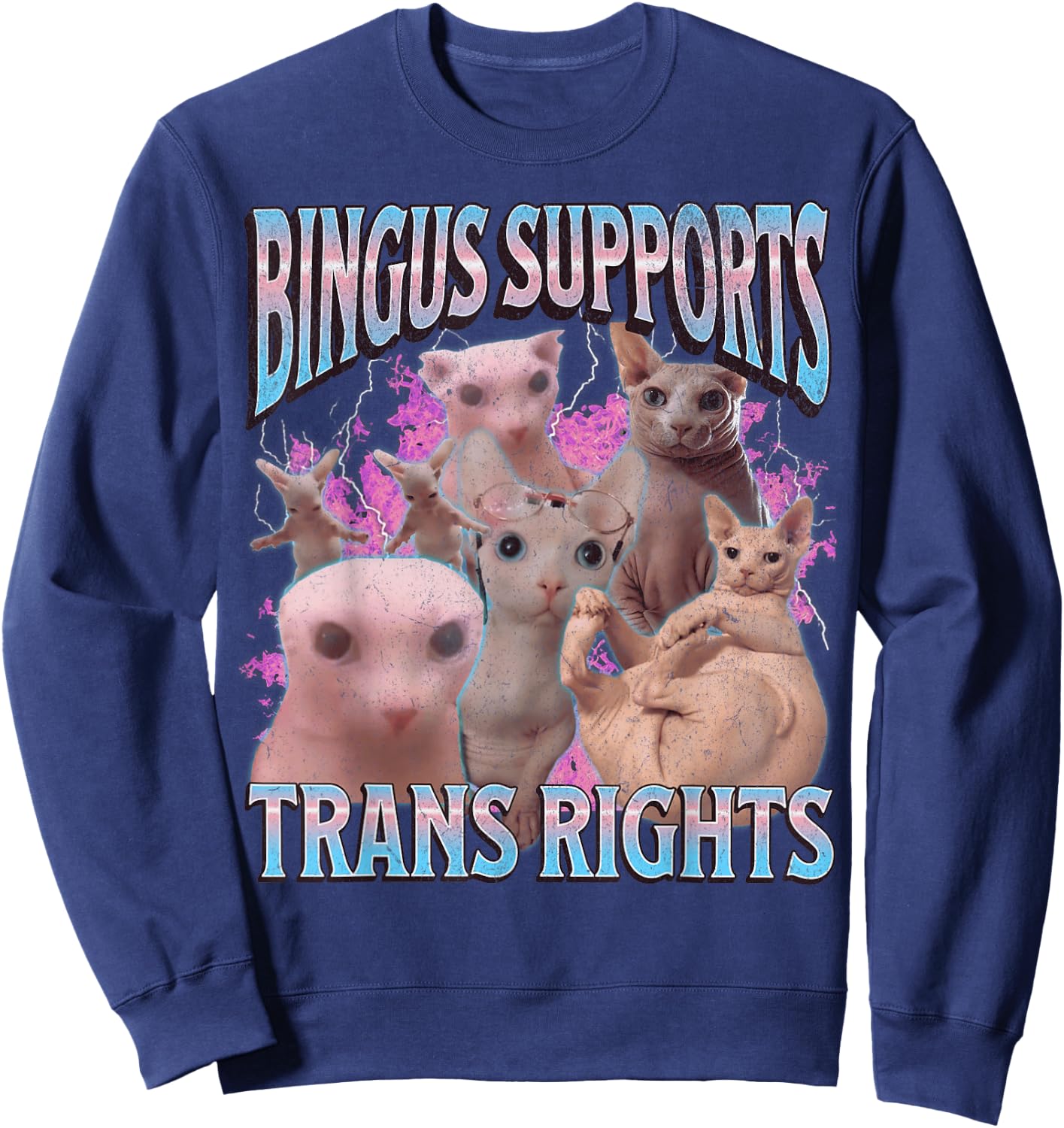 Bingus Supports Trans Rights Funny Sphinx Cat Meme Bootleg Men Women Sweatshirt - Sweatshirt | Navy