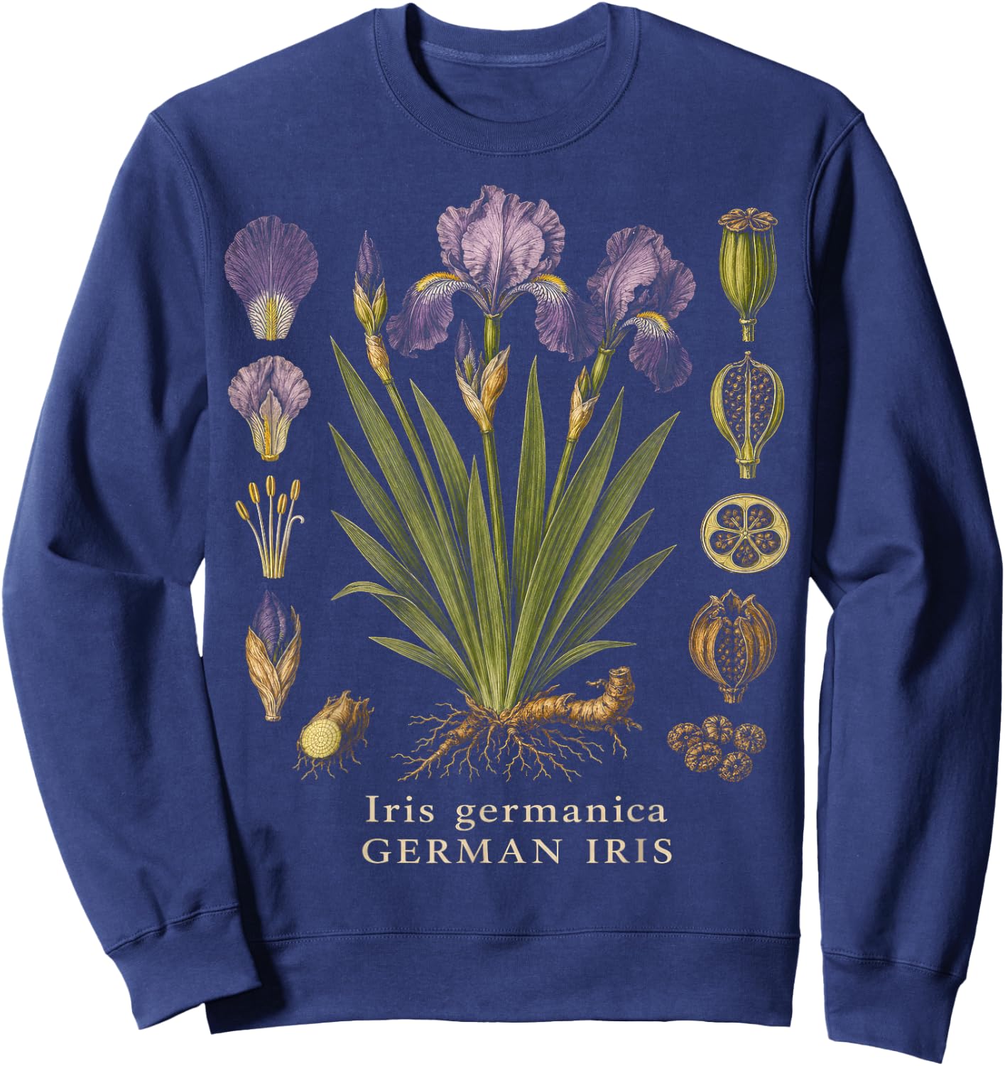 German Iris Botanical Anatomy Vintage Floral Study Sweatshirt - Sweatshirt | Navy
