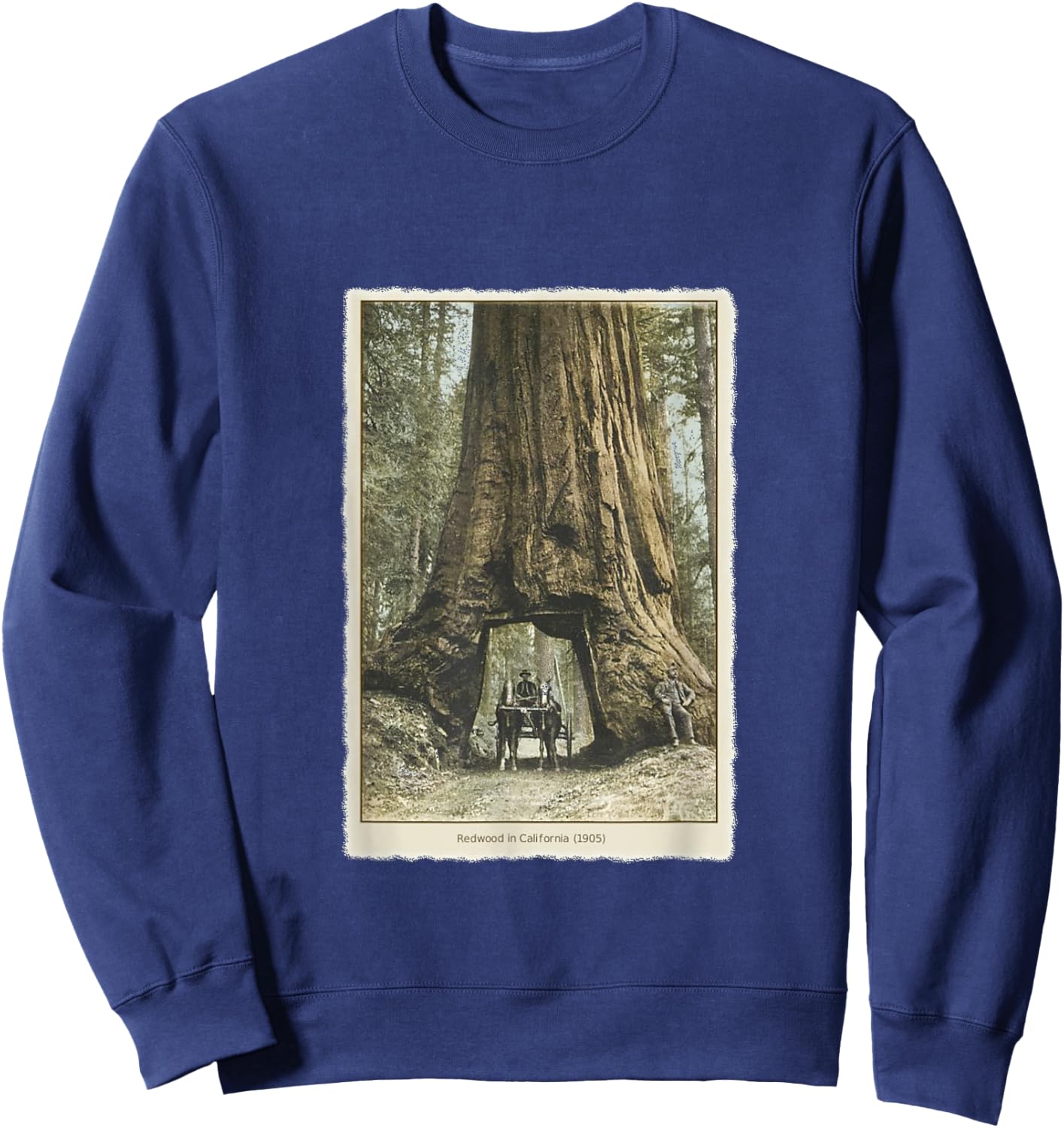 Vintage Redwood Forest T Shirt, California Redwoods Trees Sweatshirt - Sweatshirt | Navy