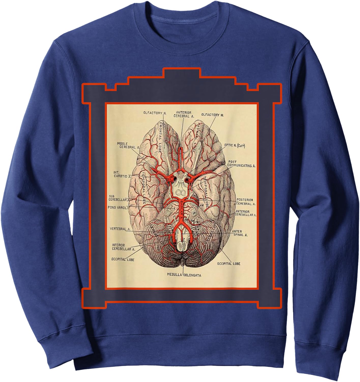 Vintage Human Brain Anatomy Diagram Sweatshirt - Sweatshirt | Navy