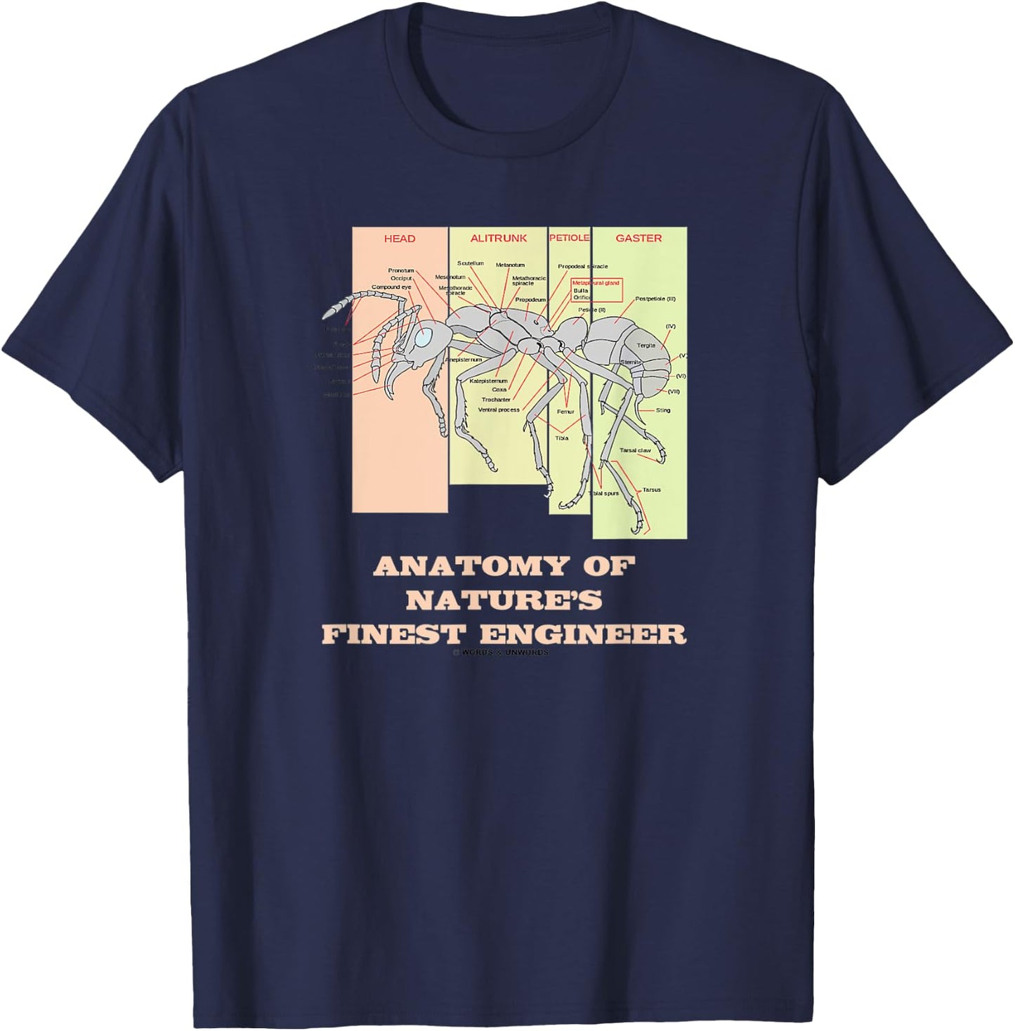 Anatomy Of Nature's Finest Engineer Worker Ant Anatomy T-Shirt - T-Shirt | Navy