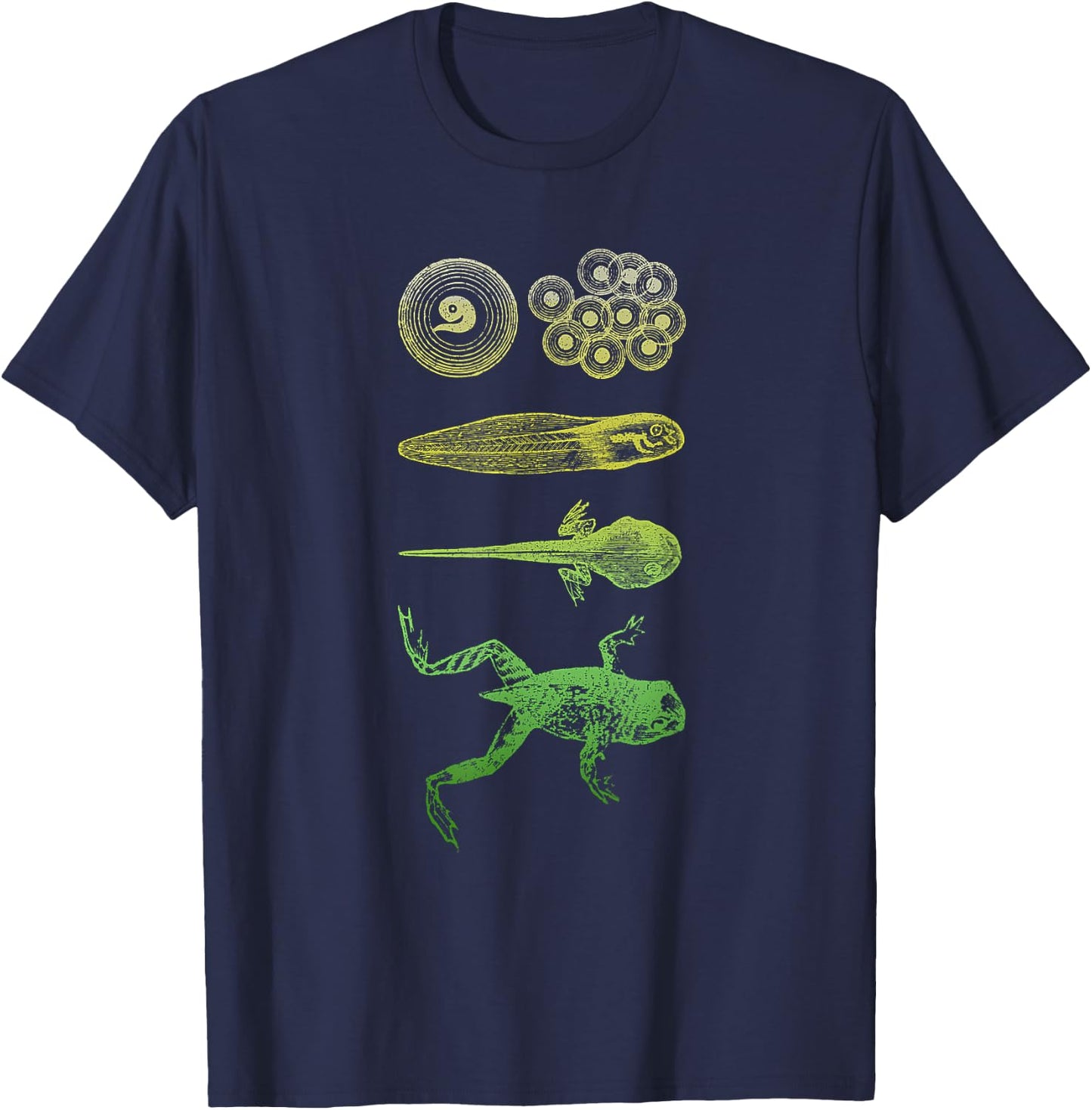 Frog Tadpole Metamorphosis Life Cycle Biology T-Shirt - T-Shirt | Navy