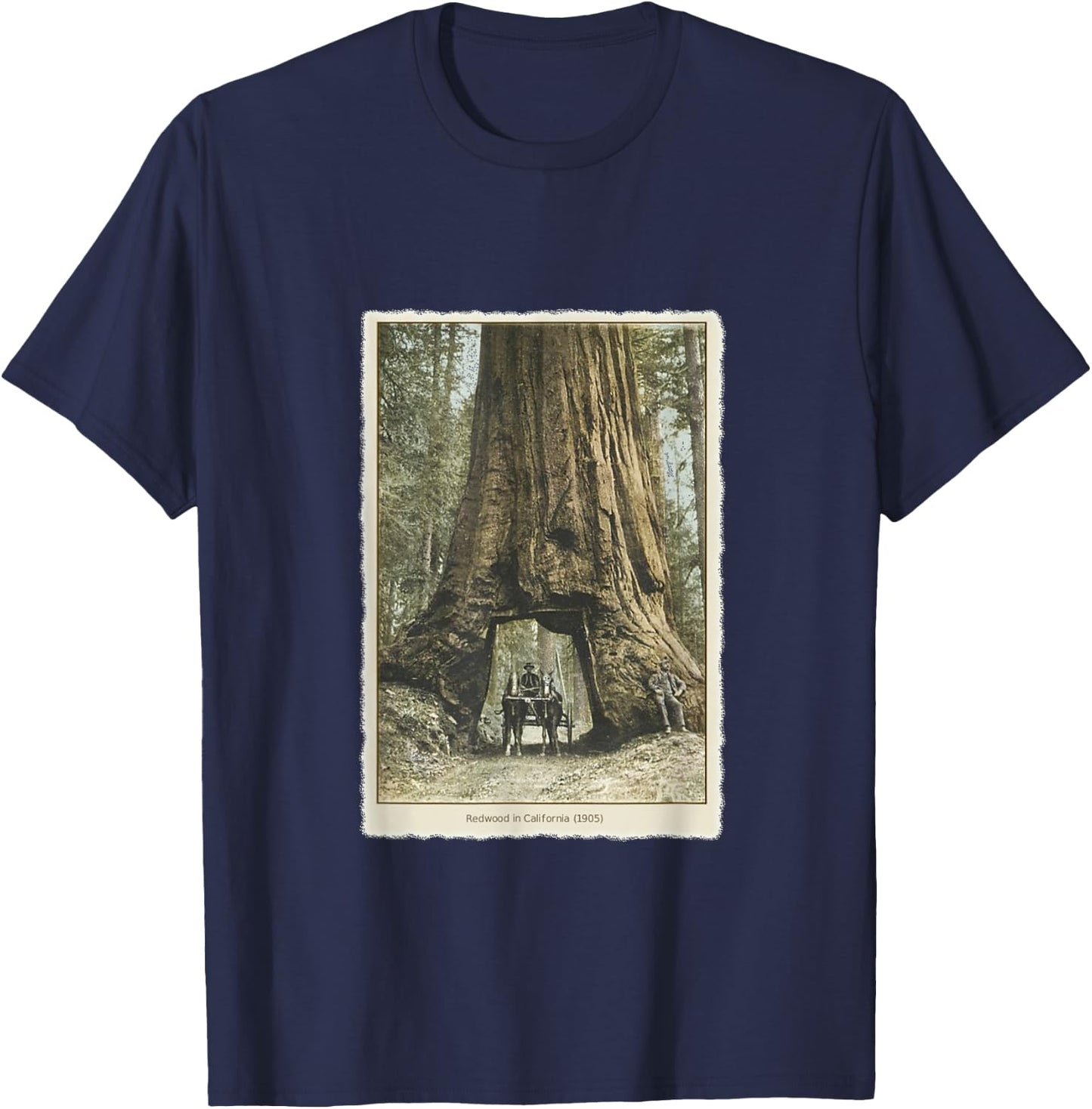 Vintage Redwood Forest T Shirt, California Redwoods Trees T-Shirt - T-Shirt | Navy