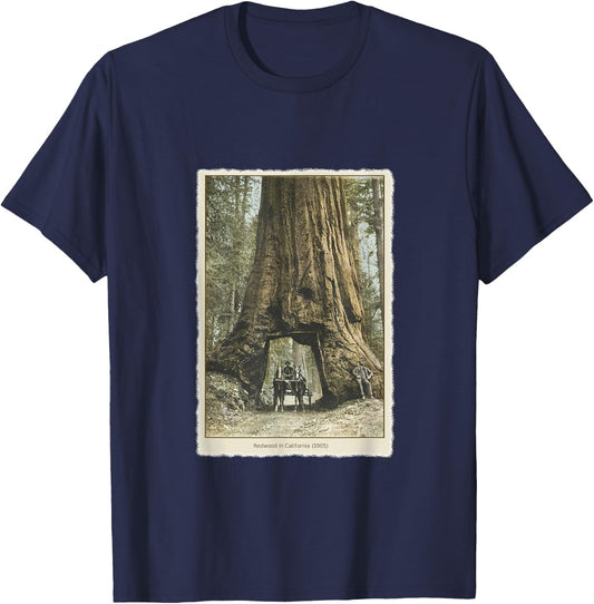 Vintage Redwood Forest T Shirt, California Redwoods Trees T-Shirt - T-Shirt | Navy
