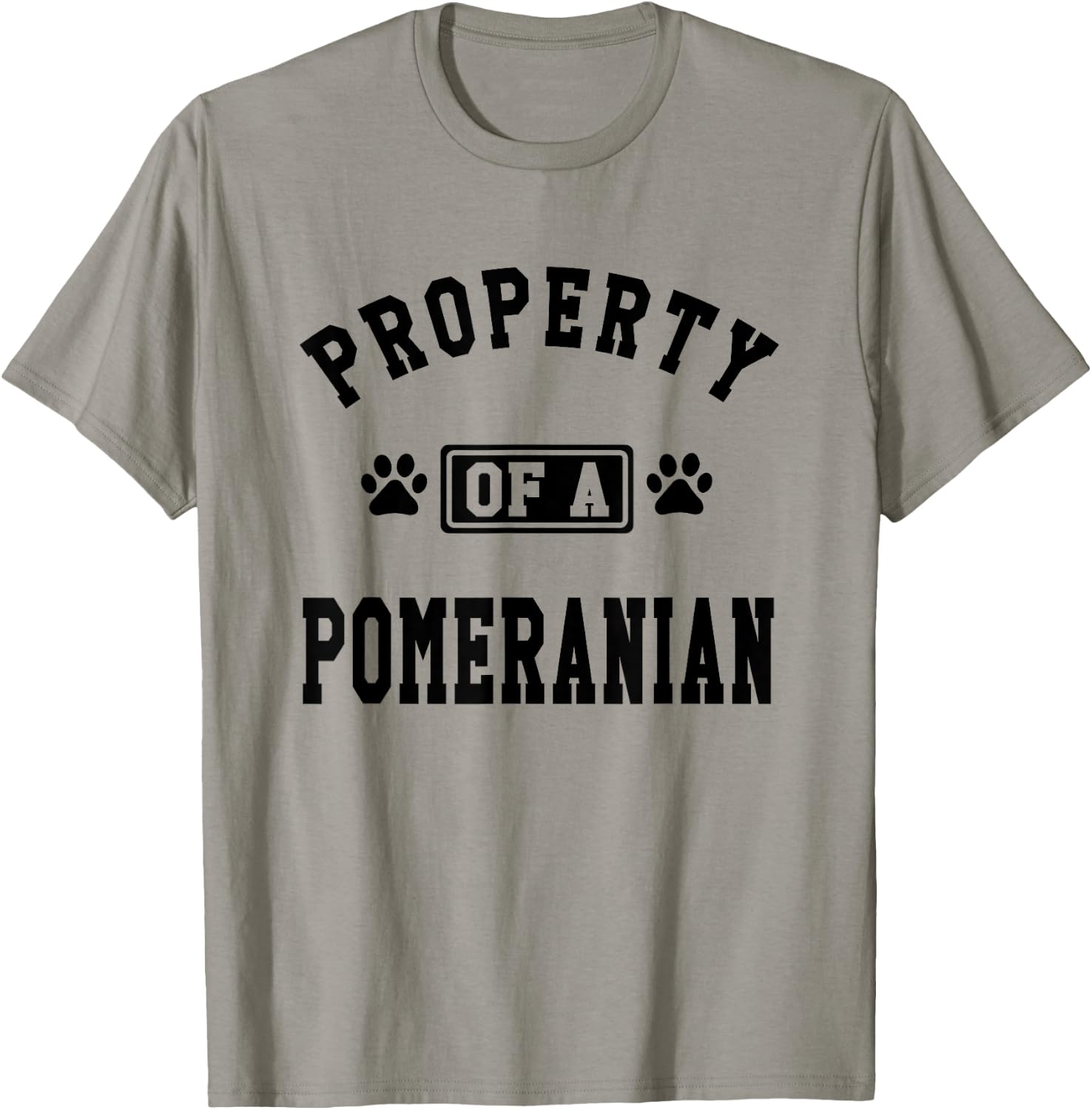 Property Of A Pomeranian - Pomeranian Lover Shirt Gift T-Shirt - T-Shirt | Sand