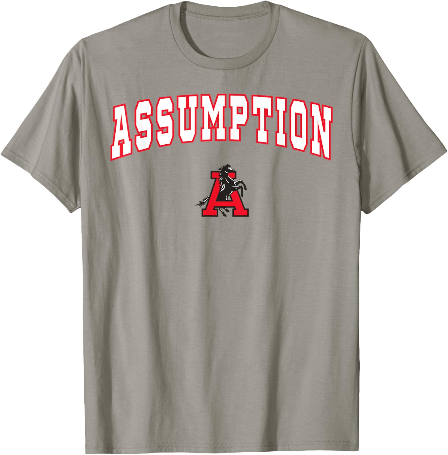 Assumption High School Mustangs C2 T-Shirt - T-Shirt | Sand