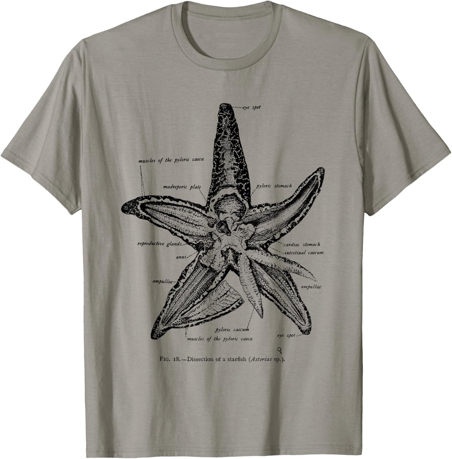 Vintage Marine Biology Starfish Sea Star T-Shirt - T-Shirt | Sand