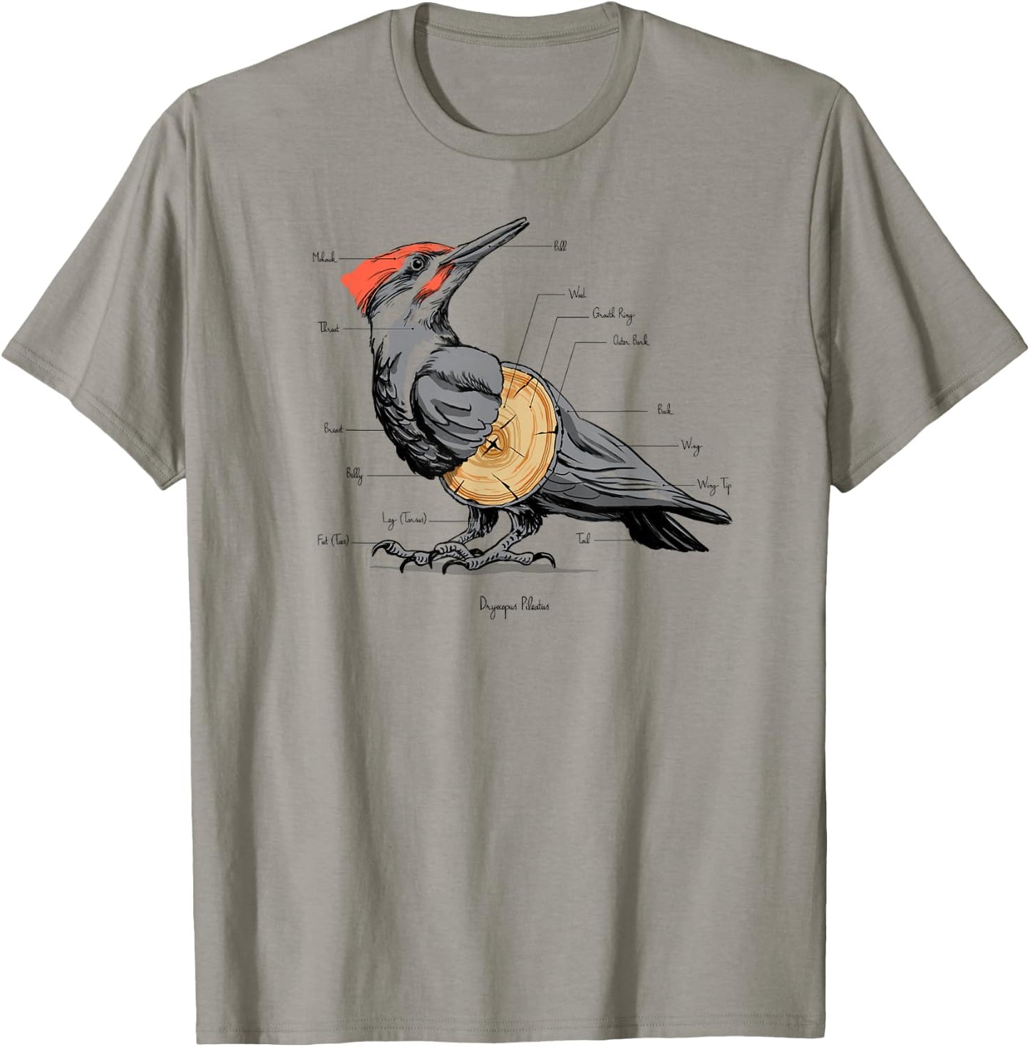 Woodpecker anatomy T-Shirt - T-Shirt | Sand