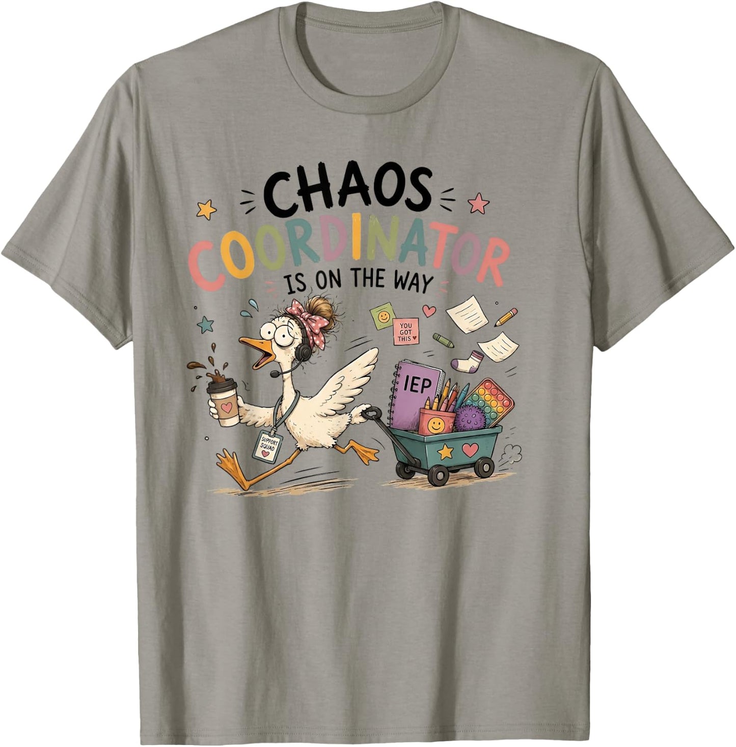 Chaos Coordinator is On The Way Sped Teacher Goose T-Shirt - T-Shirt | Sand