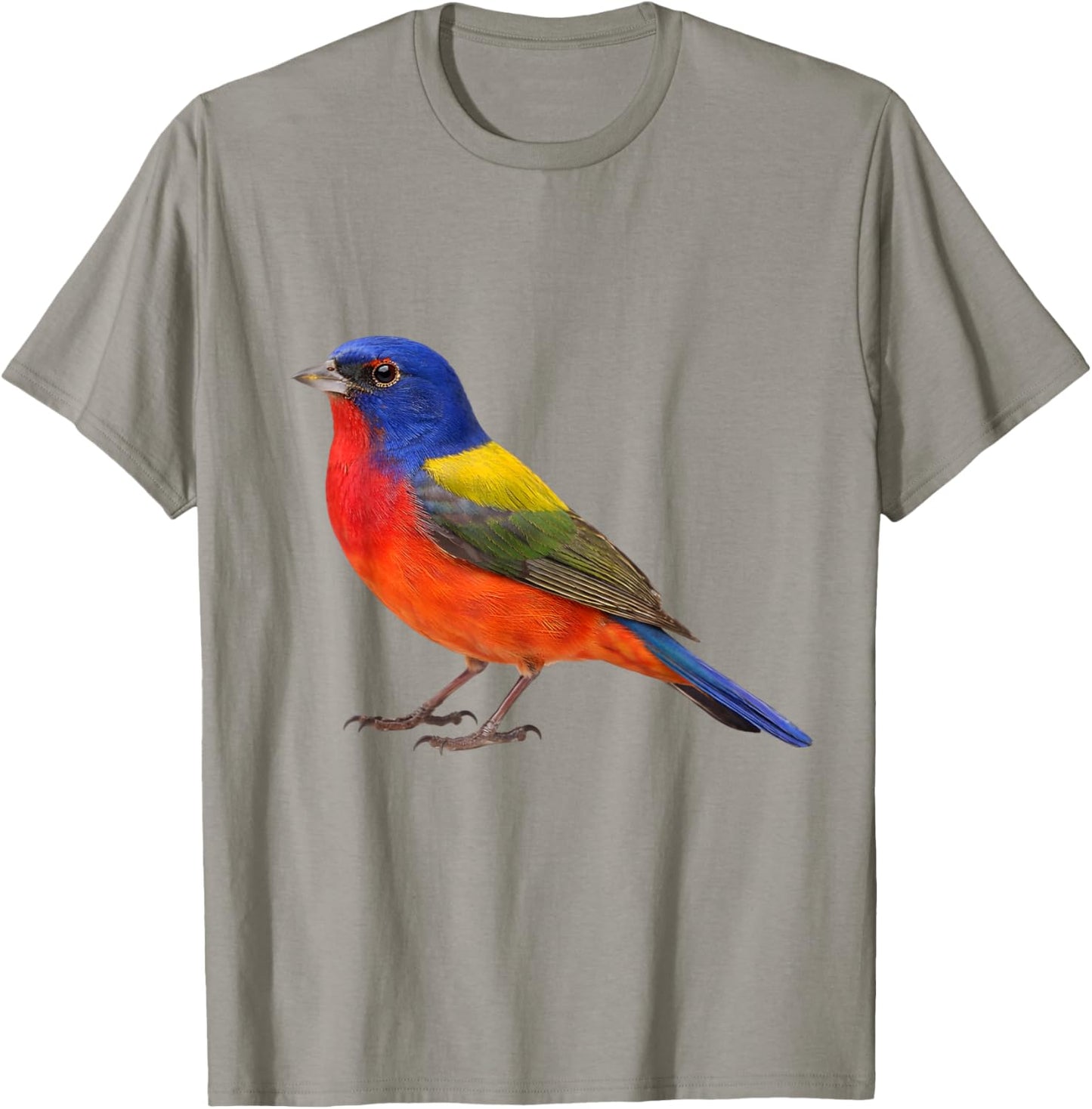 Painted Bunting Bird Aesthetic Illustration T-Shirt - T-Shirt | Sand