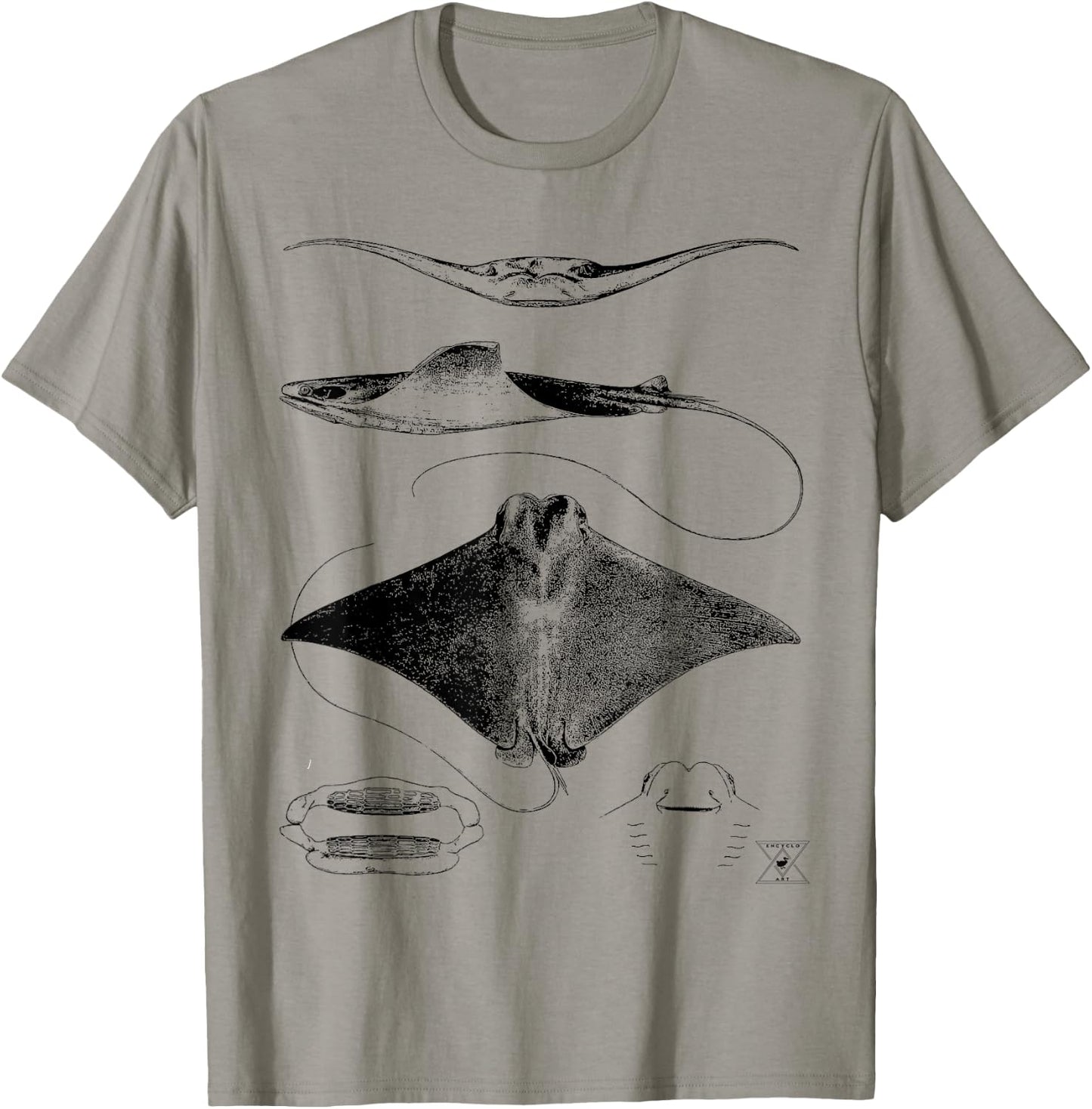 Stingray Anatomy | Sharks Rays Oceanography Sea Life T-Shirt - T-Shirt | Sand