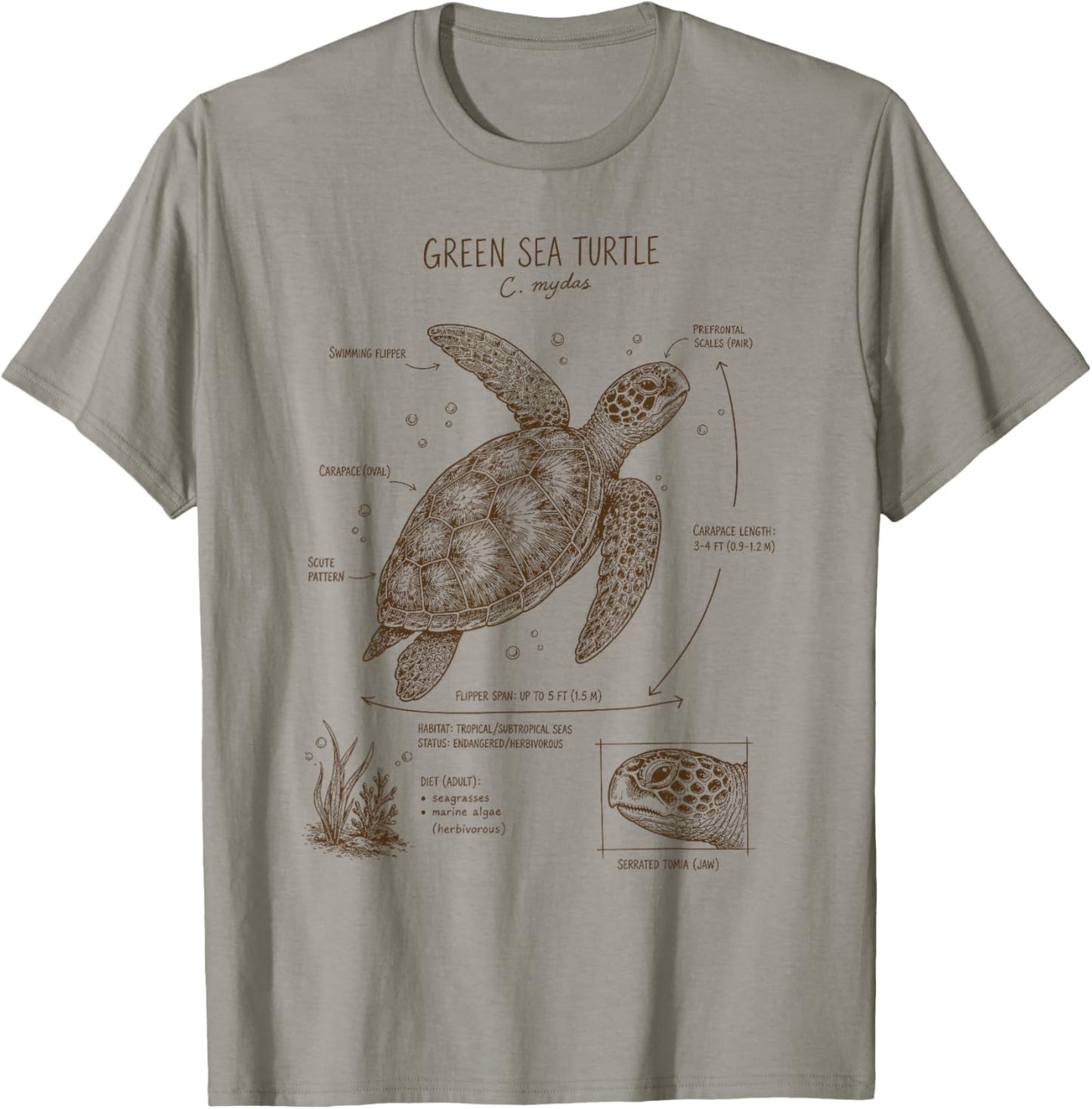 Green Sea Turtle Anatomy Ocean Sea Animal Wildlife Biology T-Shirt - T-Shirt | Sand