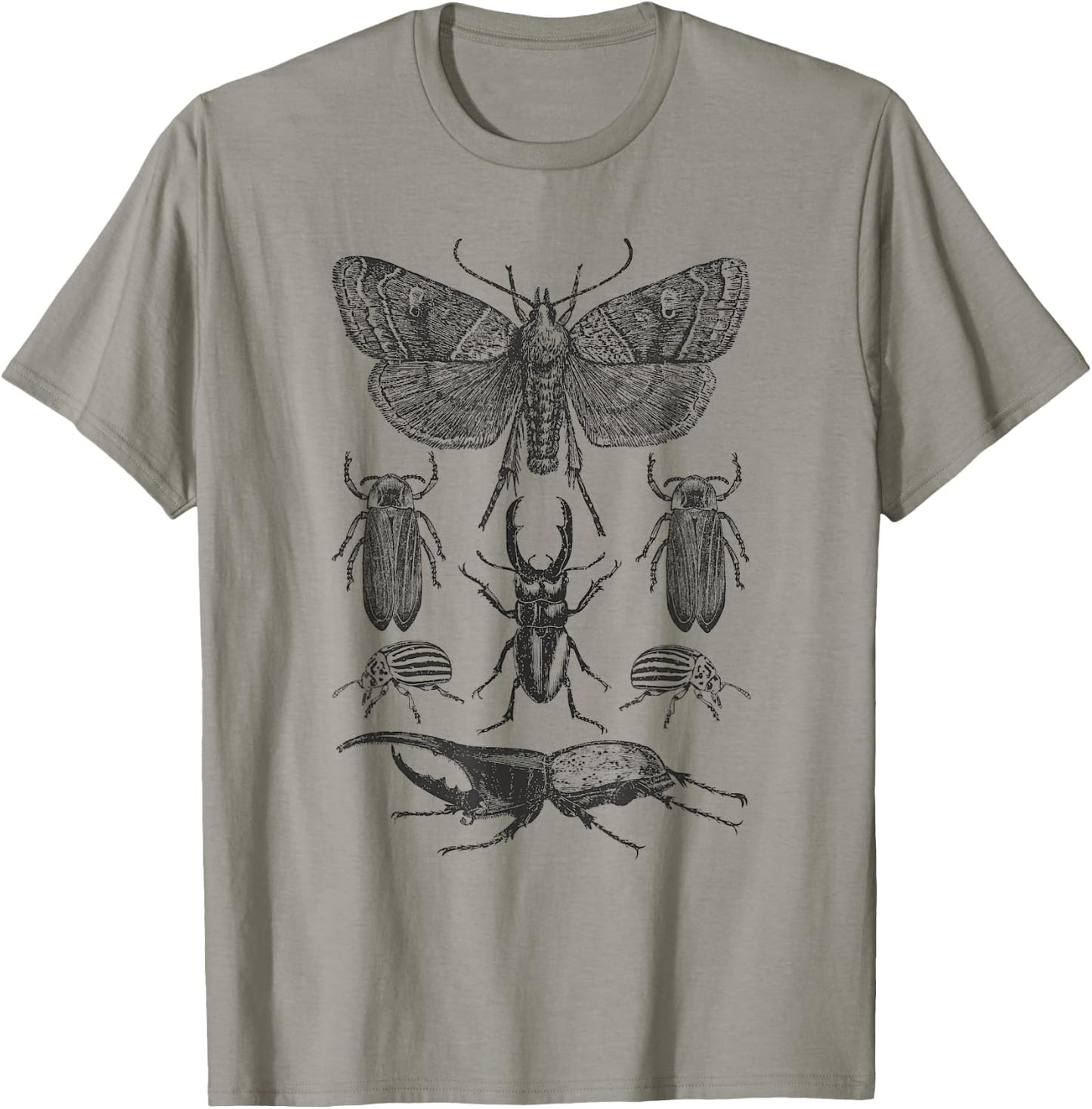 Insect Bug Collection - Moth, Stag Beetle, Cicada T-Shirt - T-Shirt | Sand