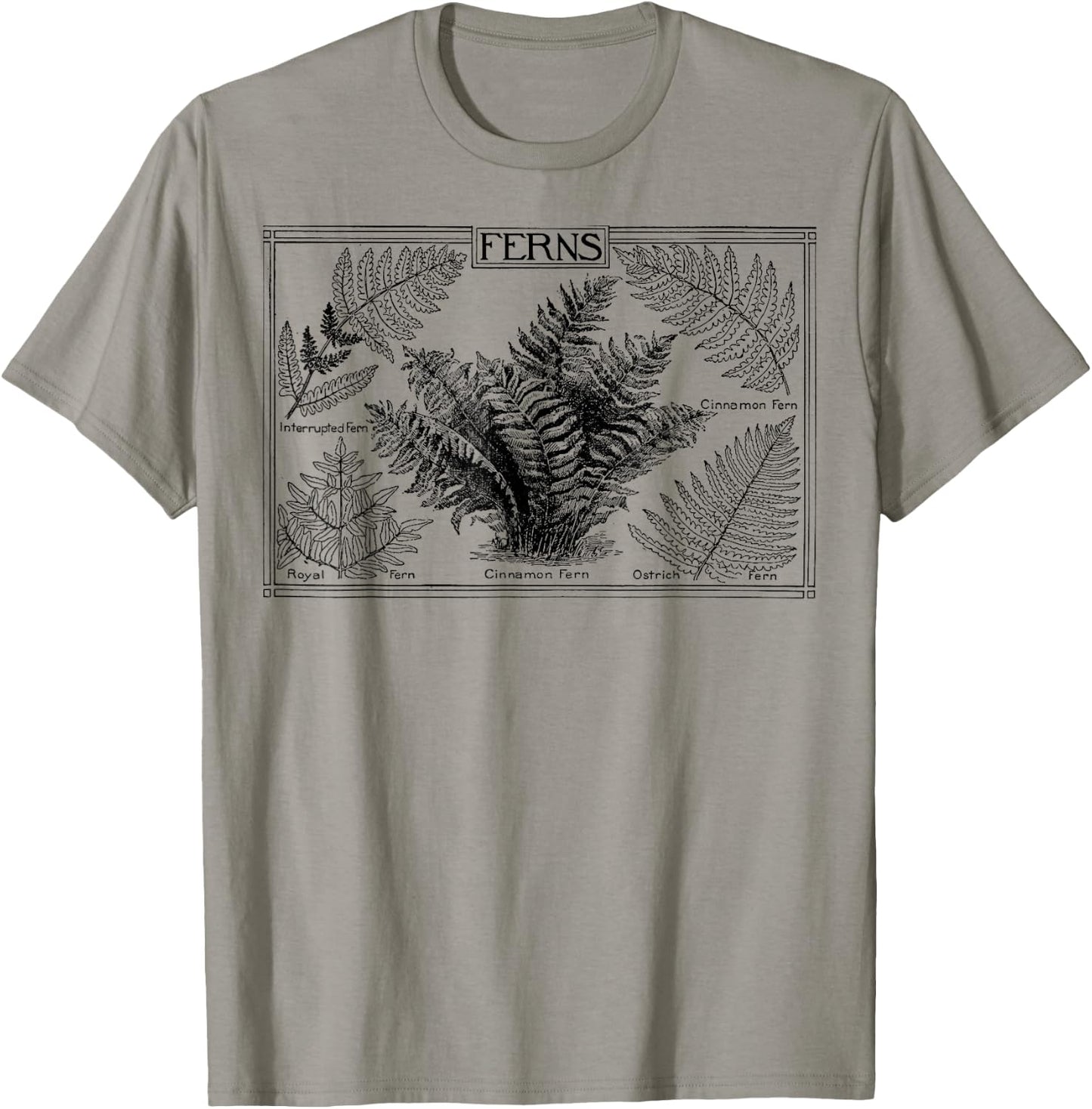 Fern Botanical Plant Botany T-Shirt - T-Shirt | Sand