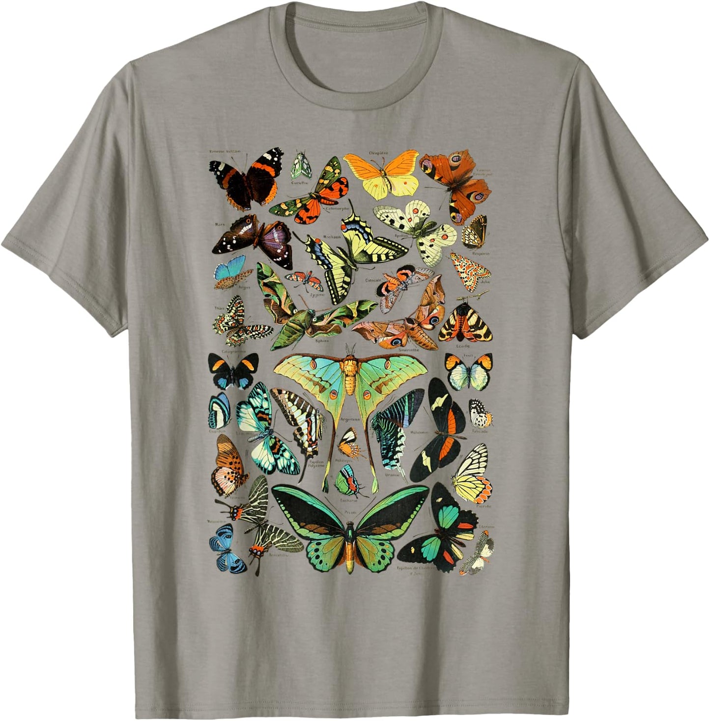 Butterflies Butterfly Collection Scientific T-Shirt - T-Shirt | Sand