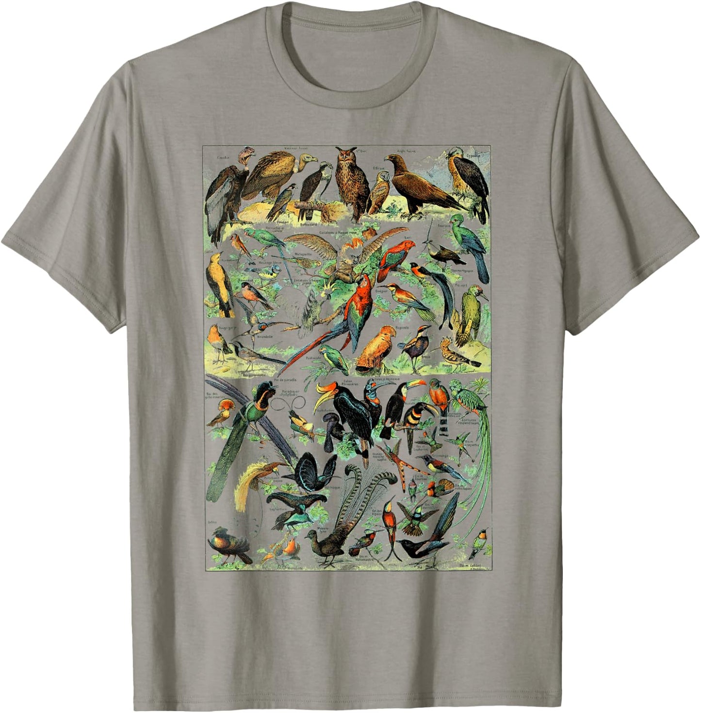 Bird Nature Birding Watcher Ornithology chart Types of birds T-Shirt - T-Shirt | Sand