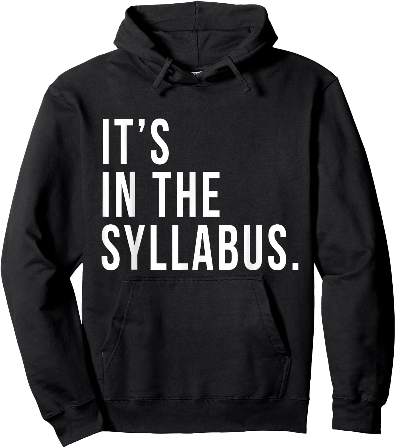 It's In The Syllabus Teacher Professor Funny Sarcasm Hoodie - Hoodie | Black