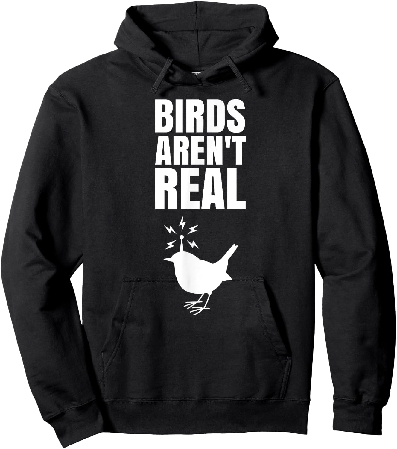 Birds Aren't Real Meme Conspiration Hoodie - Hoodie | Black