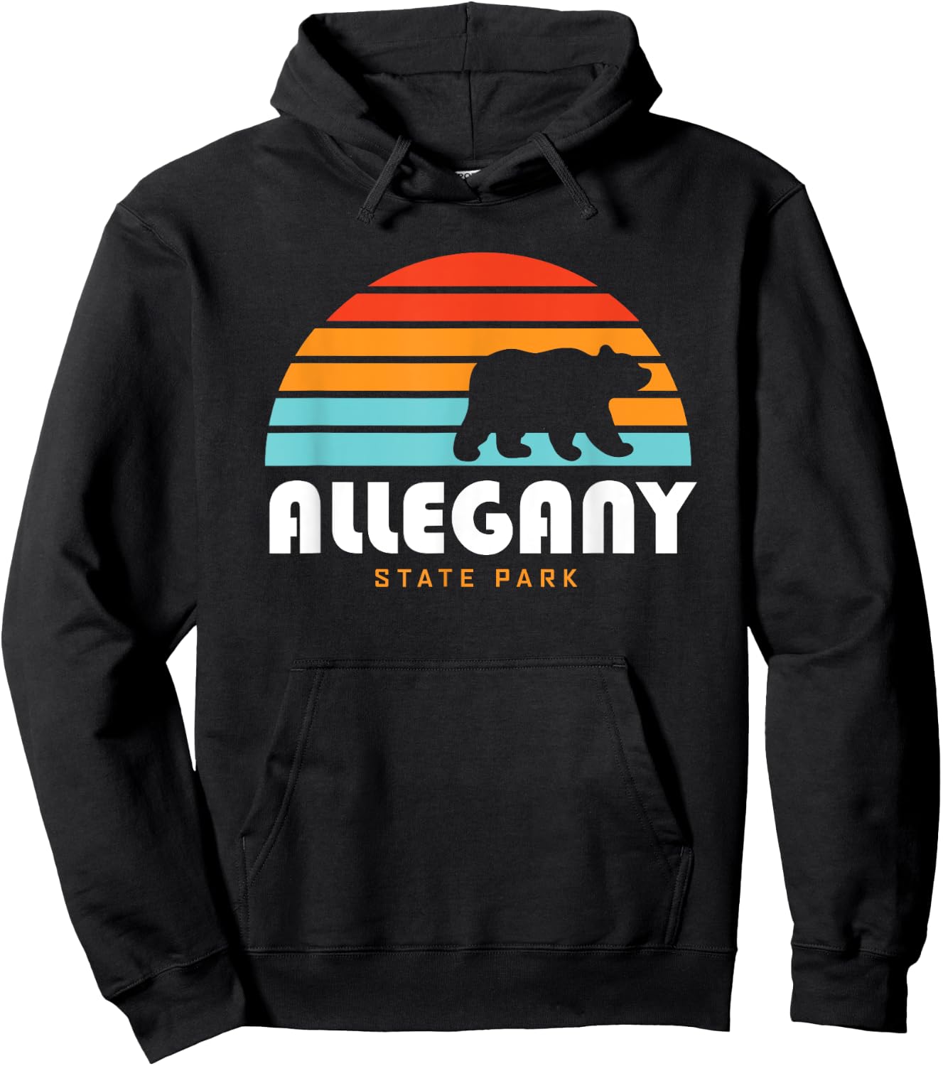 Allegany State Park New York Hoodie - Hoodie | Black