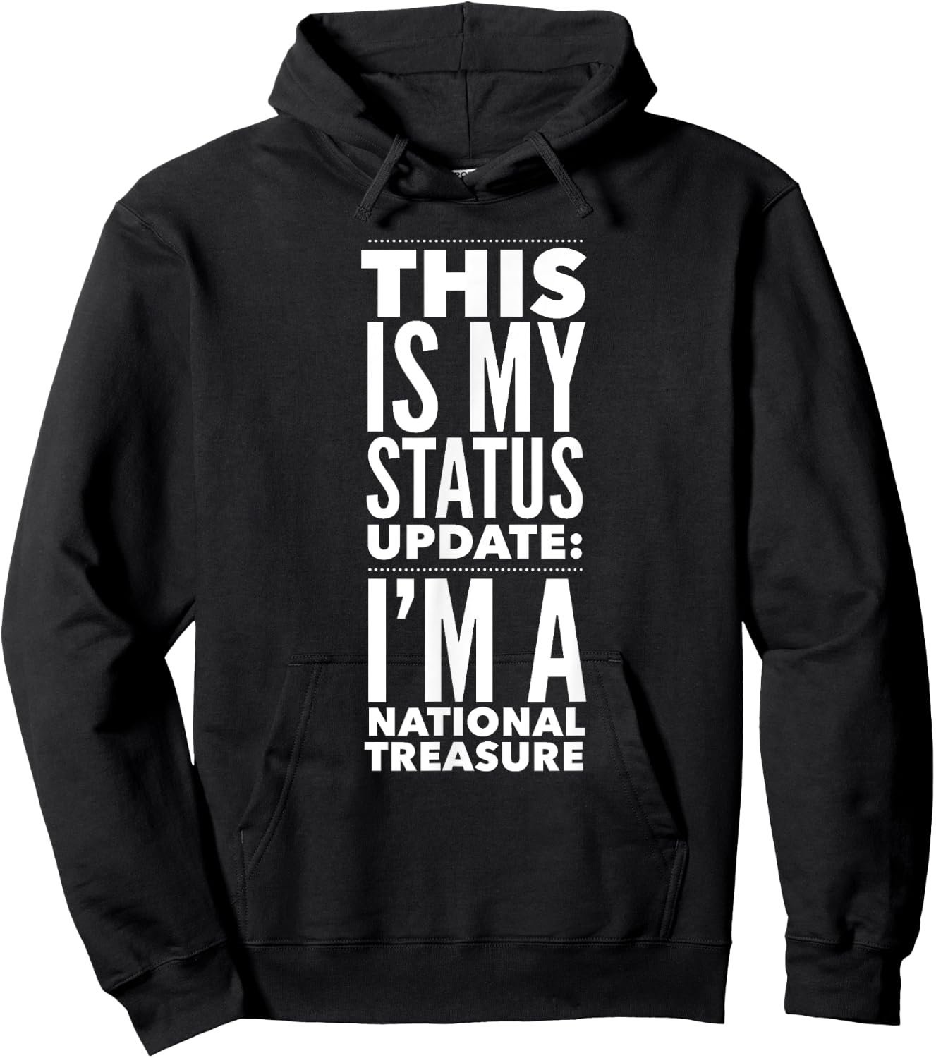 This Is My Status Update I'm National Treasure FUNNY Hoodie - Hoodie | Black