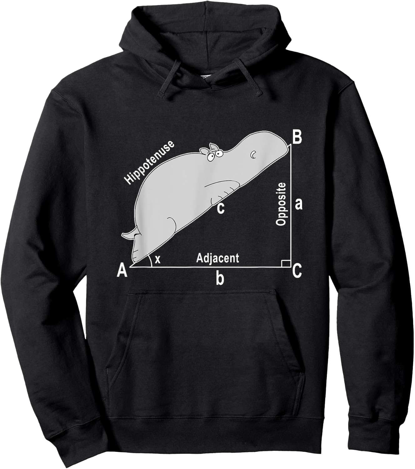 Hippo Math Analytical Funny Sarcasm Humor Teacher Men Women Girls Kids Hoodie - Hoodie | Black