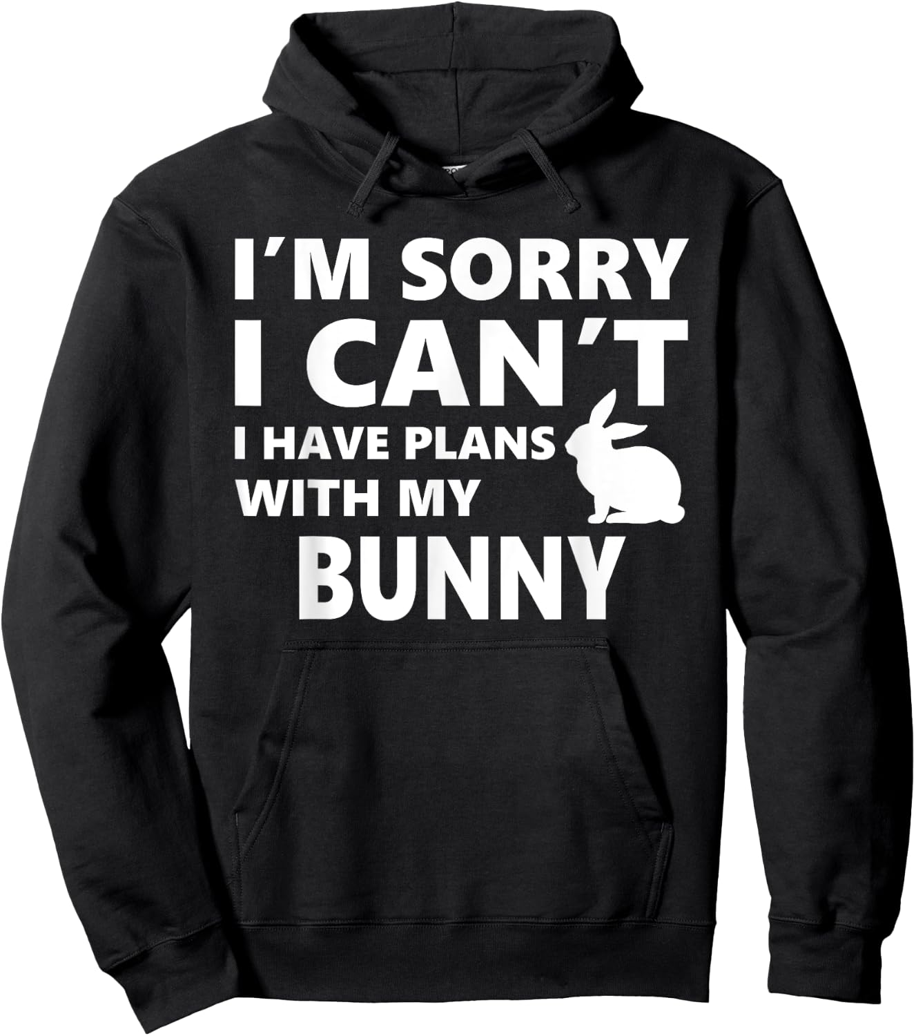 Sorry I Can't I Have Plans With My Bunny: Pet Lover Hoodie - Hoodie | Black