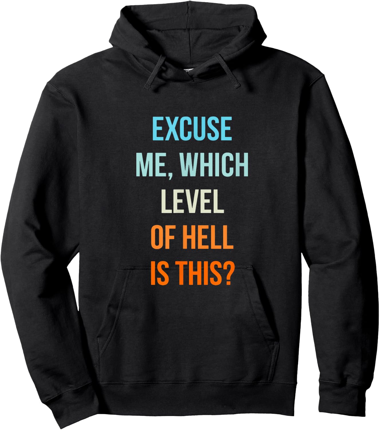 Excuse Me Which Level Of Hell Is This - Sarcastic Antisocial Hoodie - Hoodie | Black