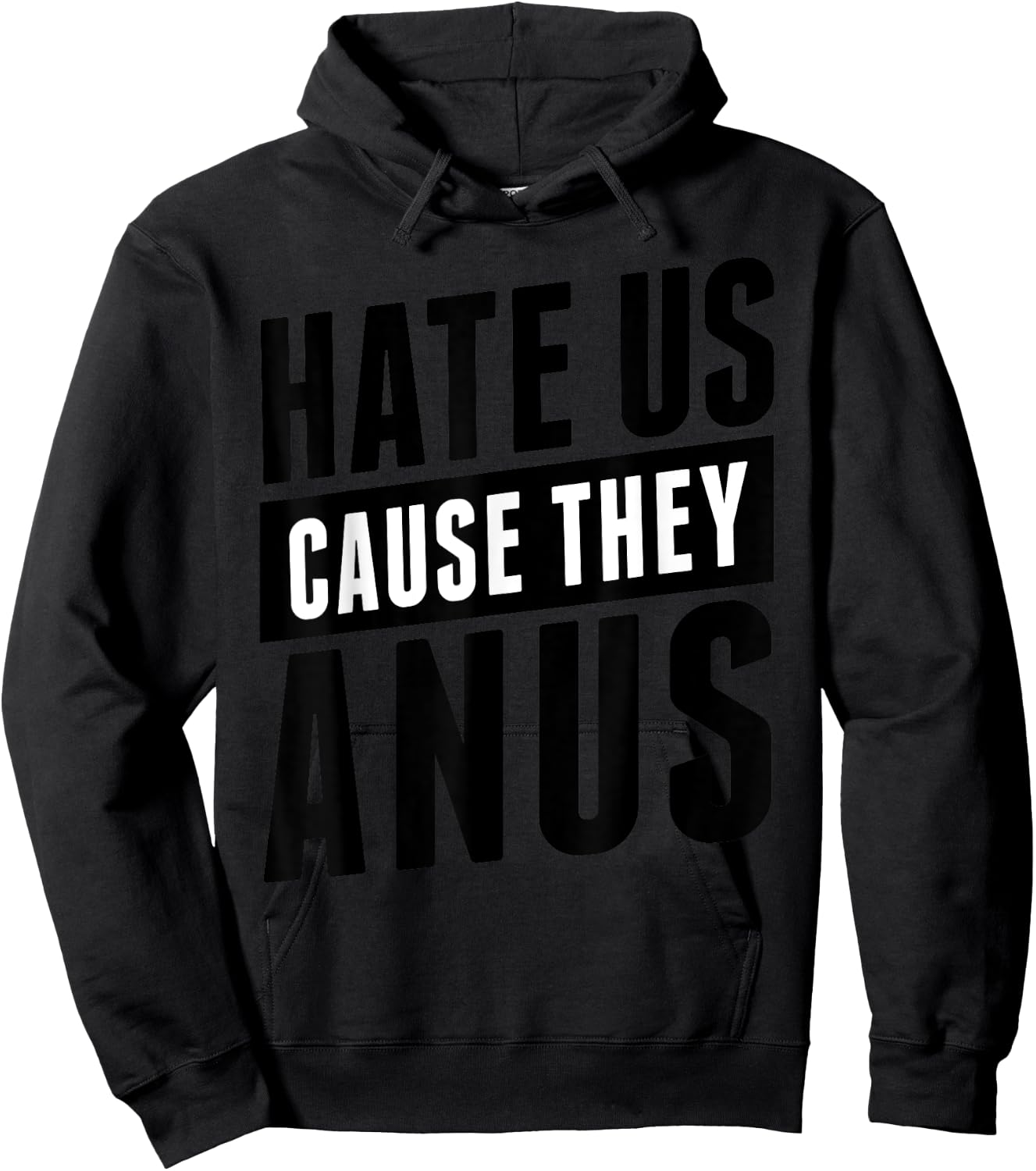 Hate Us Cause They Anus Funny Shirt Hoodie - Hoodie | Black