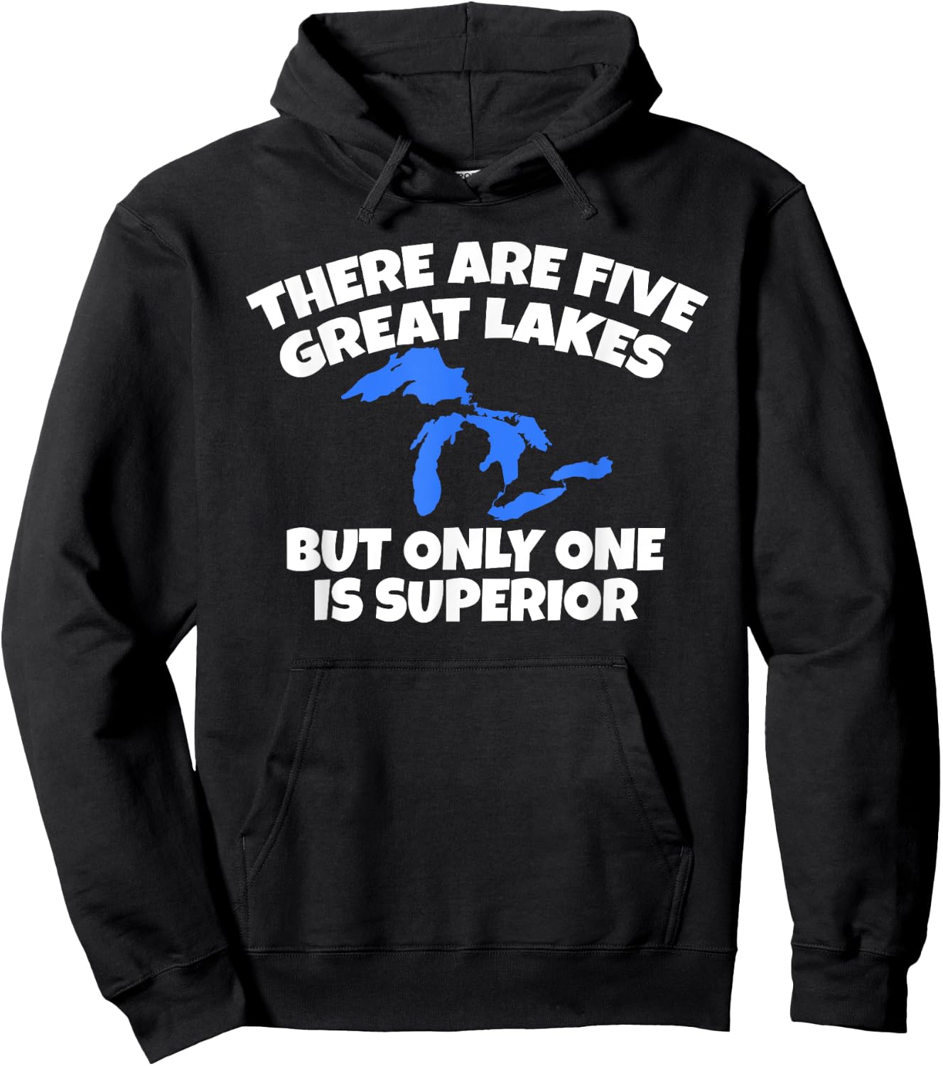There Are 5 Great Lakes But Only One Is Superior Hoodie - Hoodie | Black
