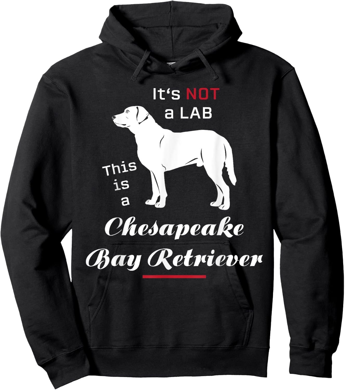 It's not a Lab this is a Chesapeake Bay Retriever Hoodie - Hoodie | Black