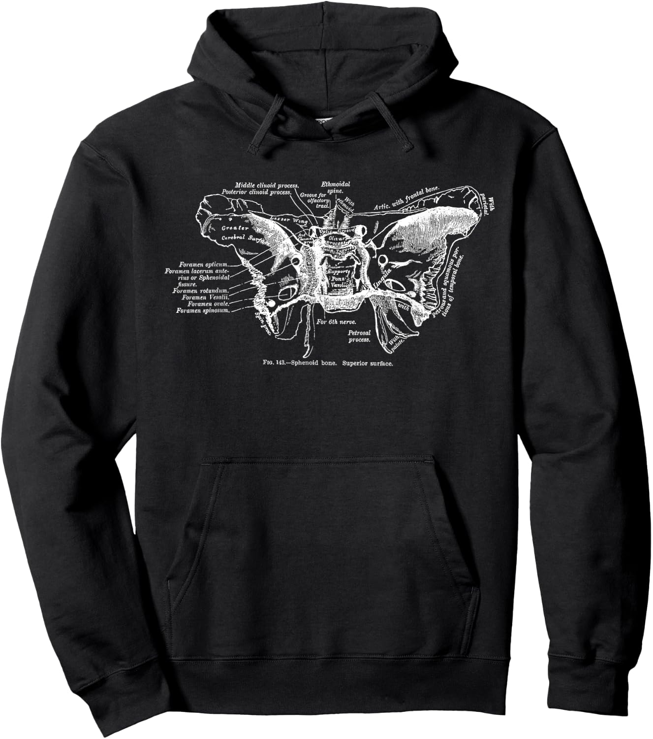 Cranium Sphenoid Bone Anatomy Hoodie - Hoodie | Black