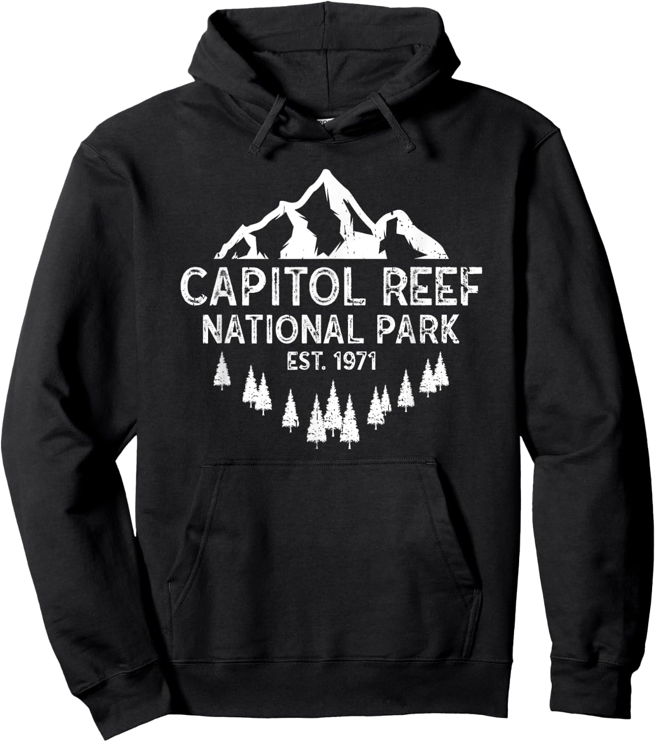 Capitol Reef National Park Hoodie - Hoodie | Black