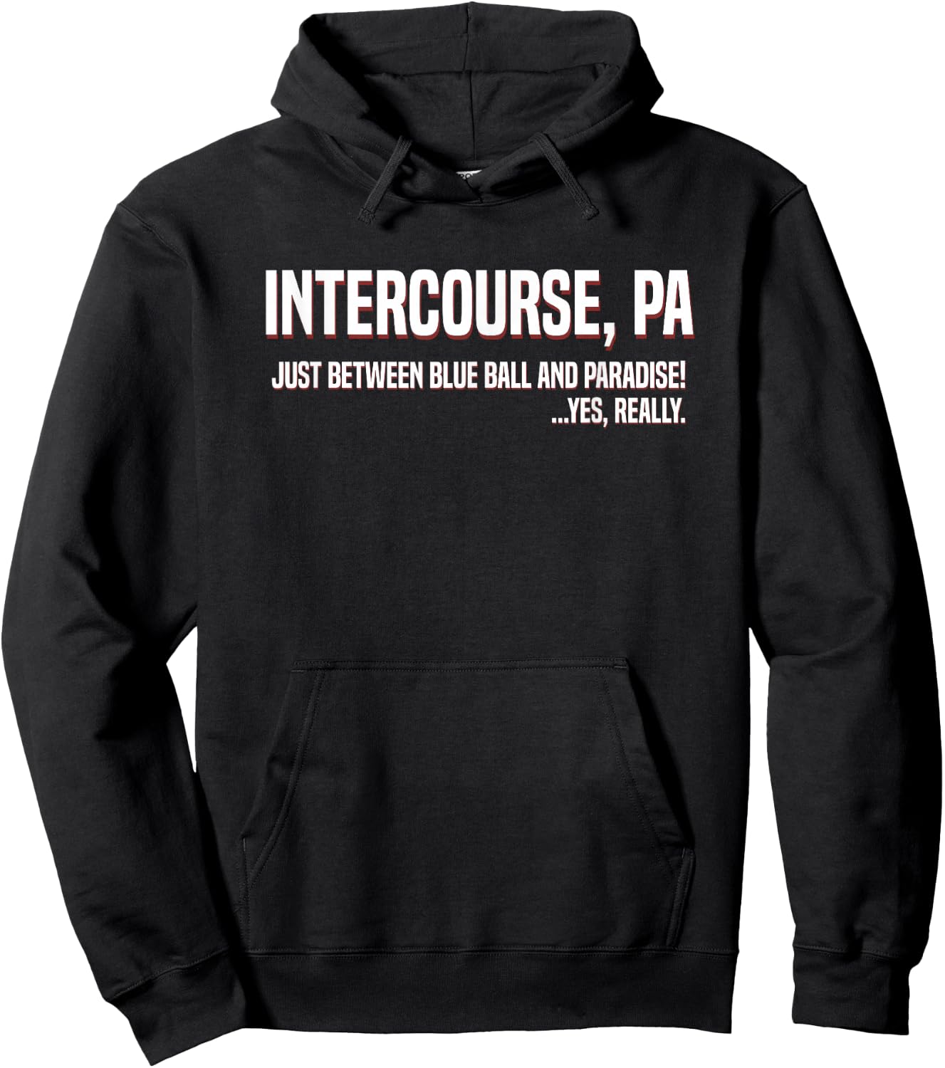 Funny Intercourse PA Between Blue Ball and Paradise Hoodie - Hoodie | Black