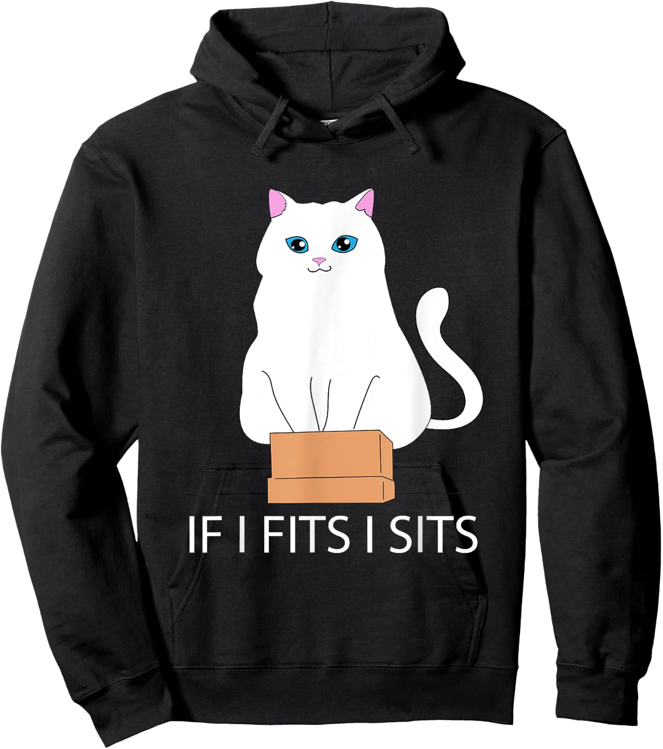 If I Fits I Sits, Cat In A Box | Cat Meme, Fat Kitty Men Women Hoodie - Hoodie | Black