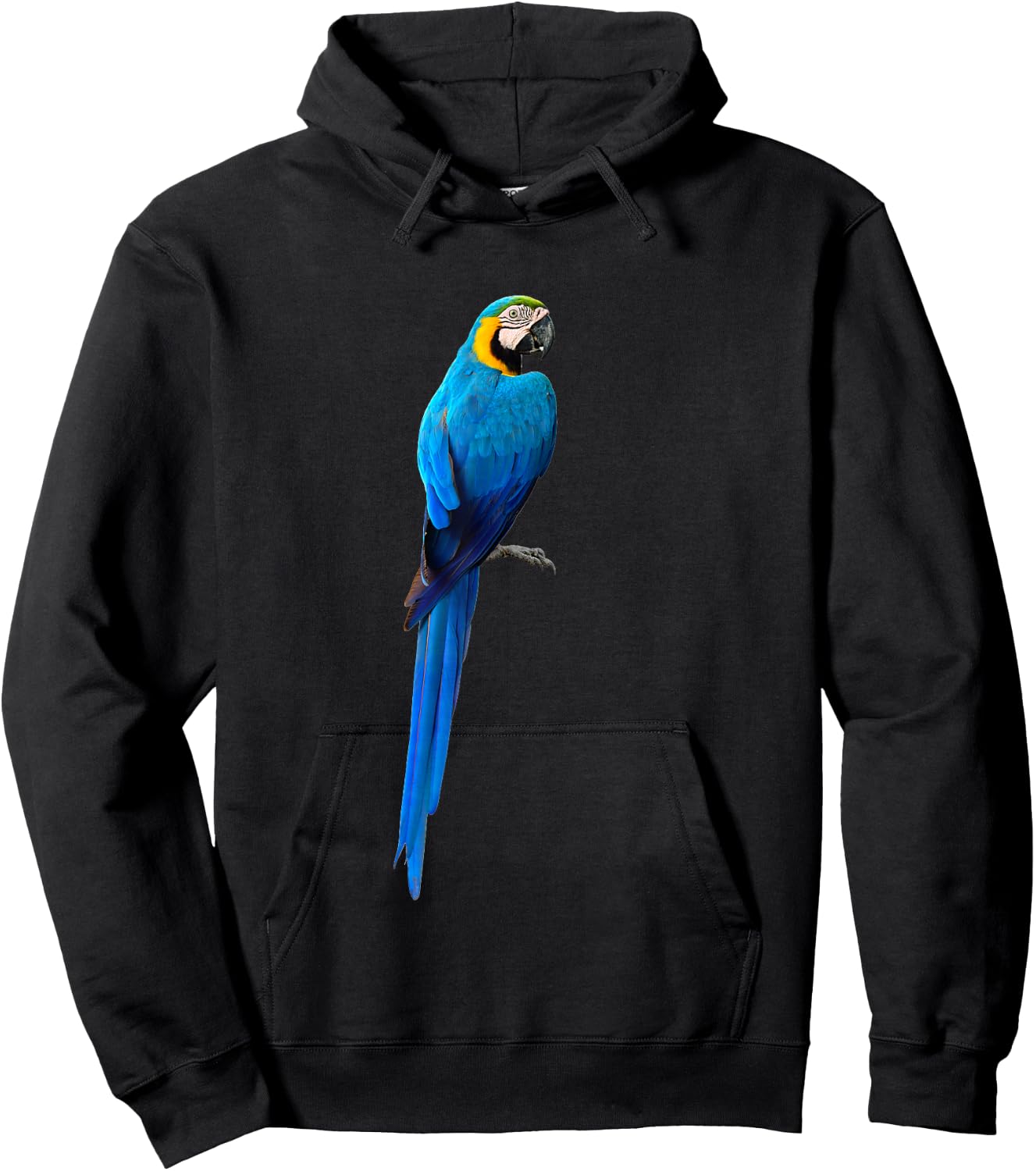 Blue Macaw Parrot Life Hoodie - Hoodie | Black