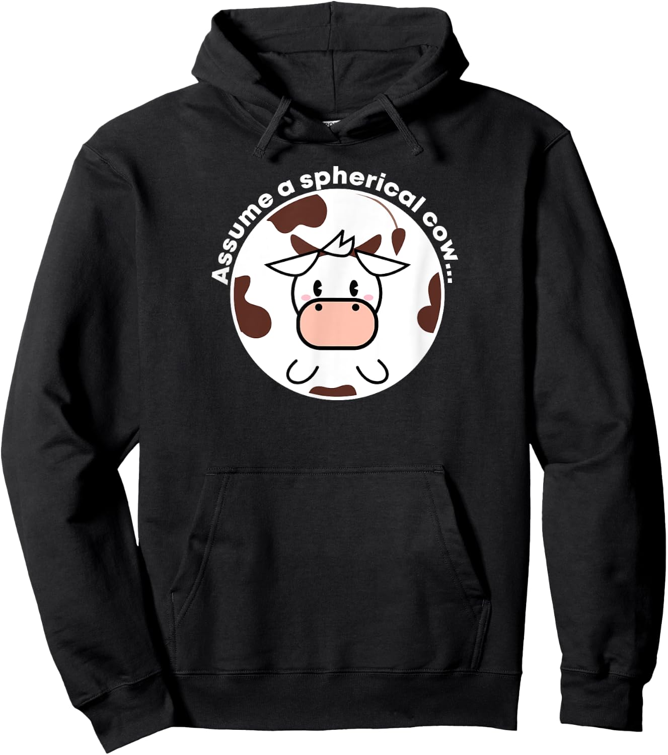 Assume a Spherical Cow Funny Physics Shirt Hoodie - Hoodie | Black