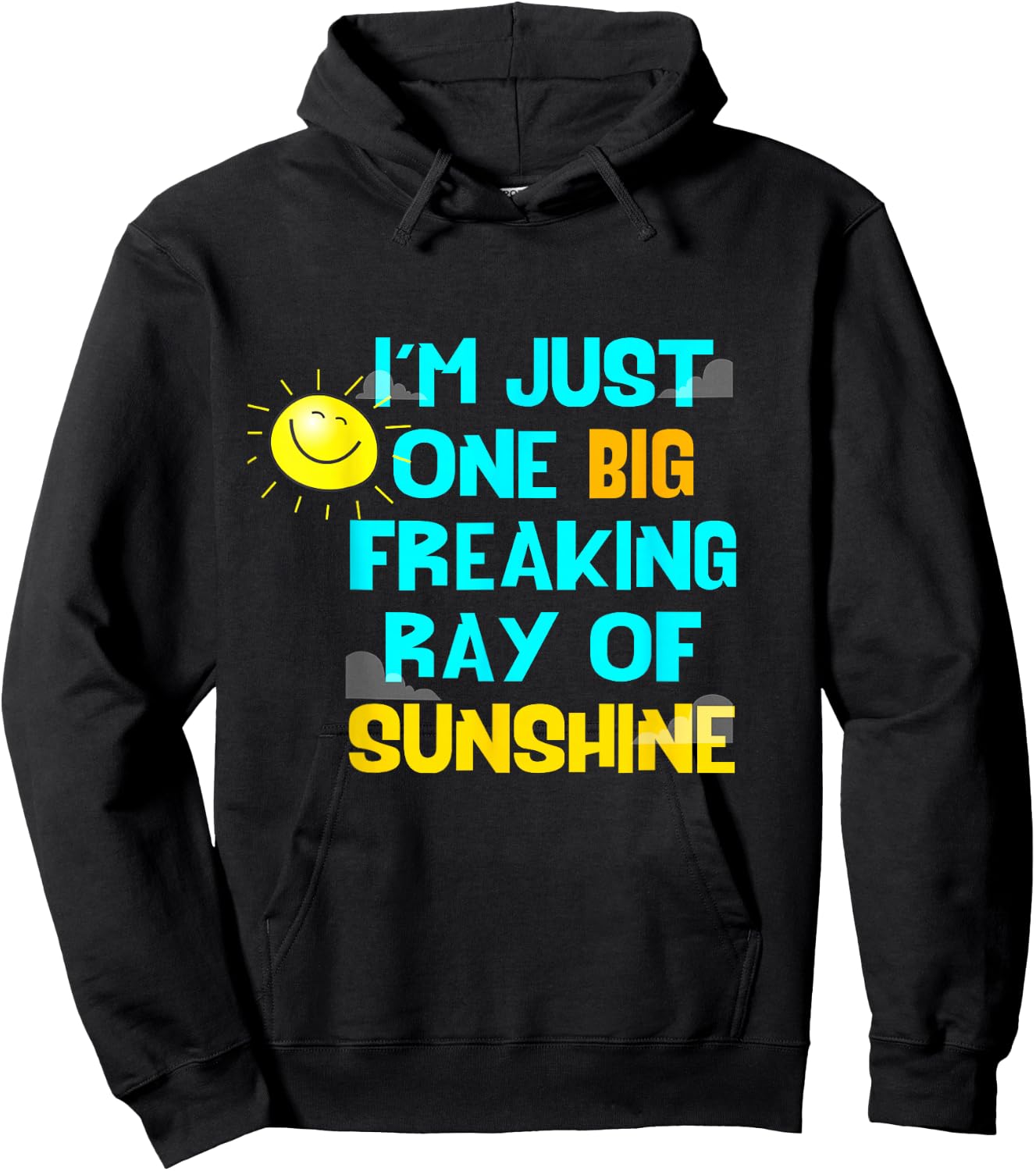 I'm Just One Big Freaking Ray Of Sunshine Women Hoodie - Hoodie | Black