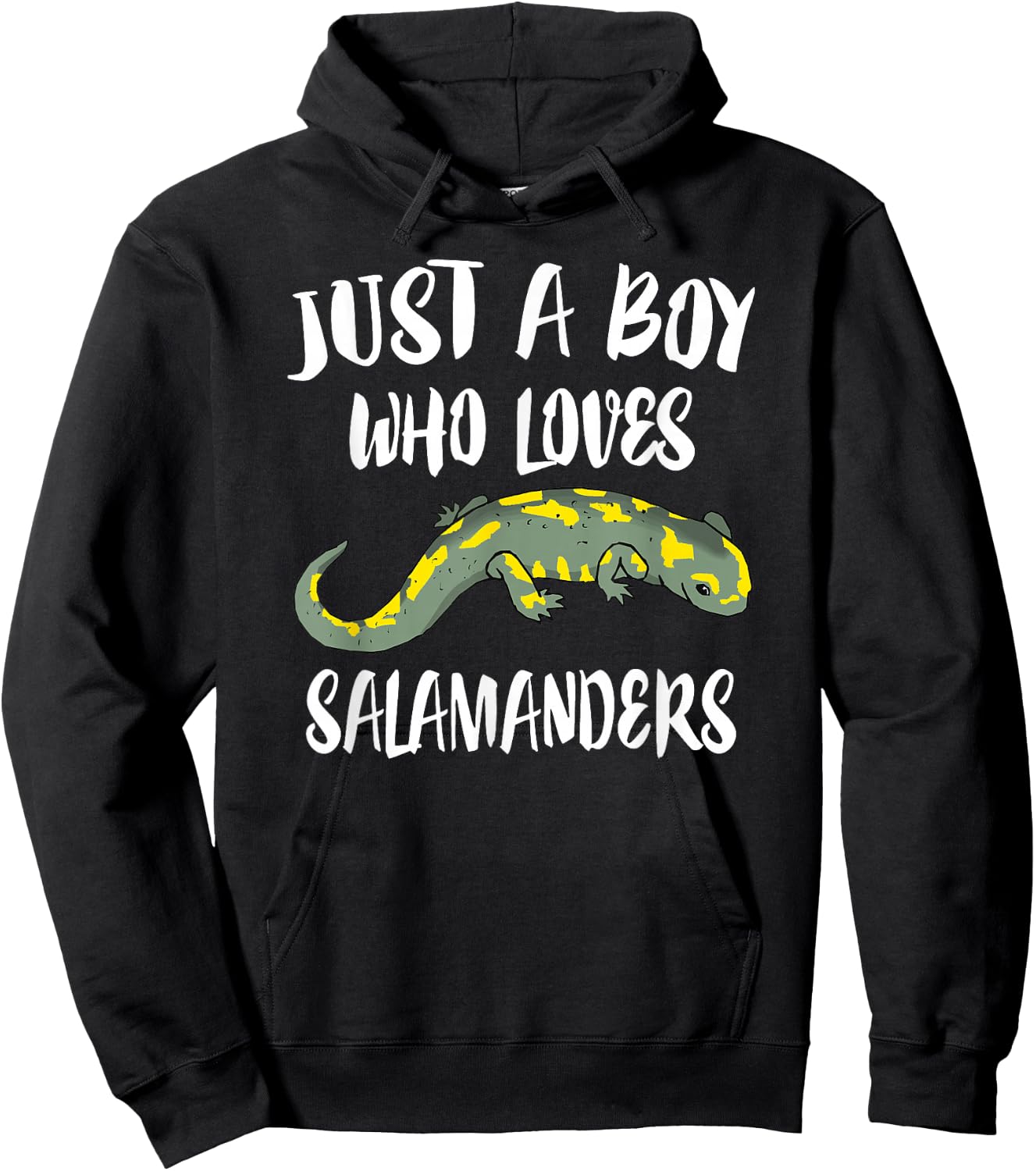 Just A Boy Who Loves Salamanders Lizard Gift Hoodie - Hoodie | Black