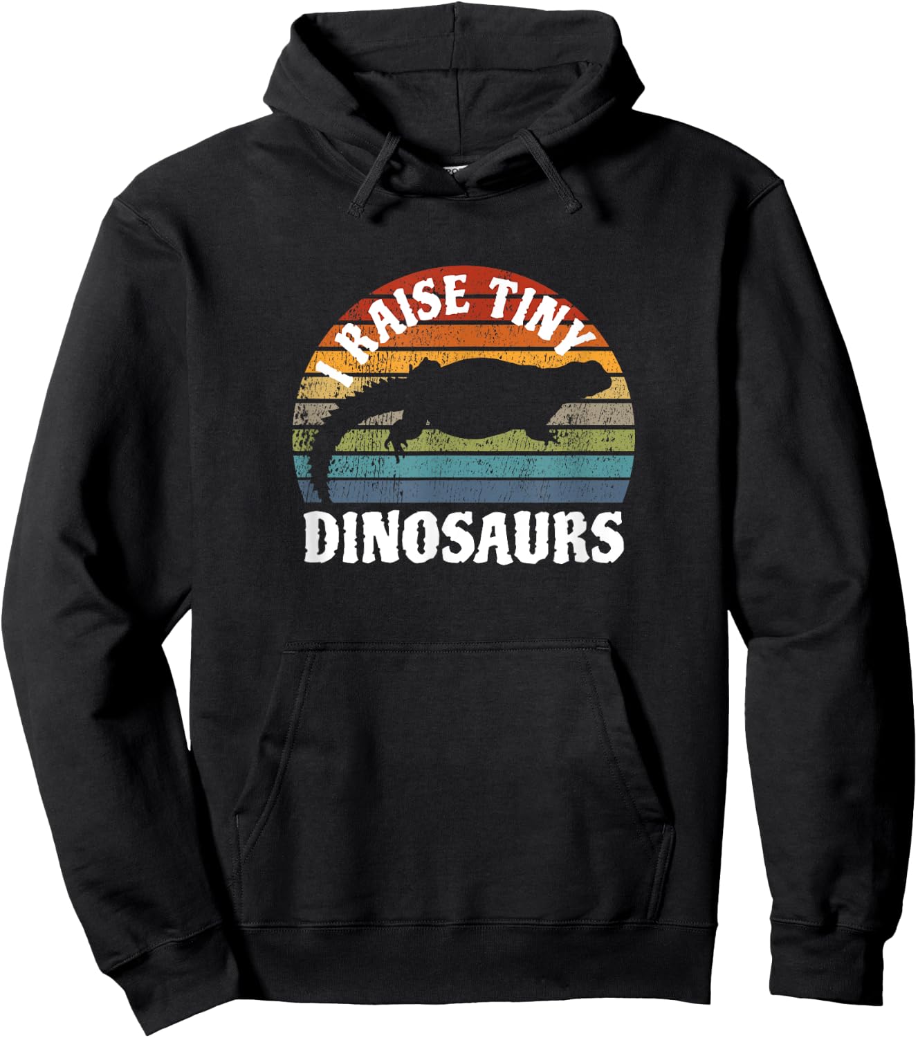 I Raise Tiny Dinosaurs I Uromastyx Agame Colorful Retro Hoodie - Hoodie | Black