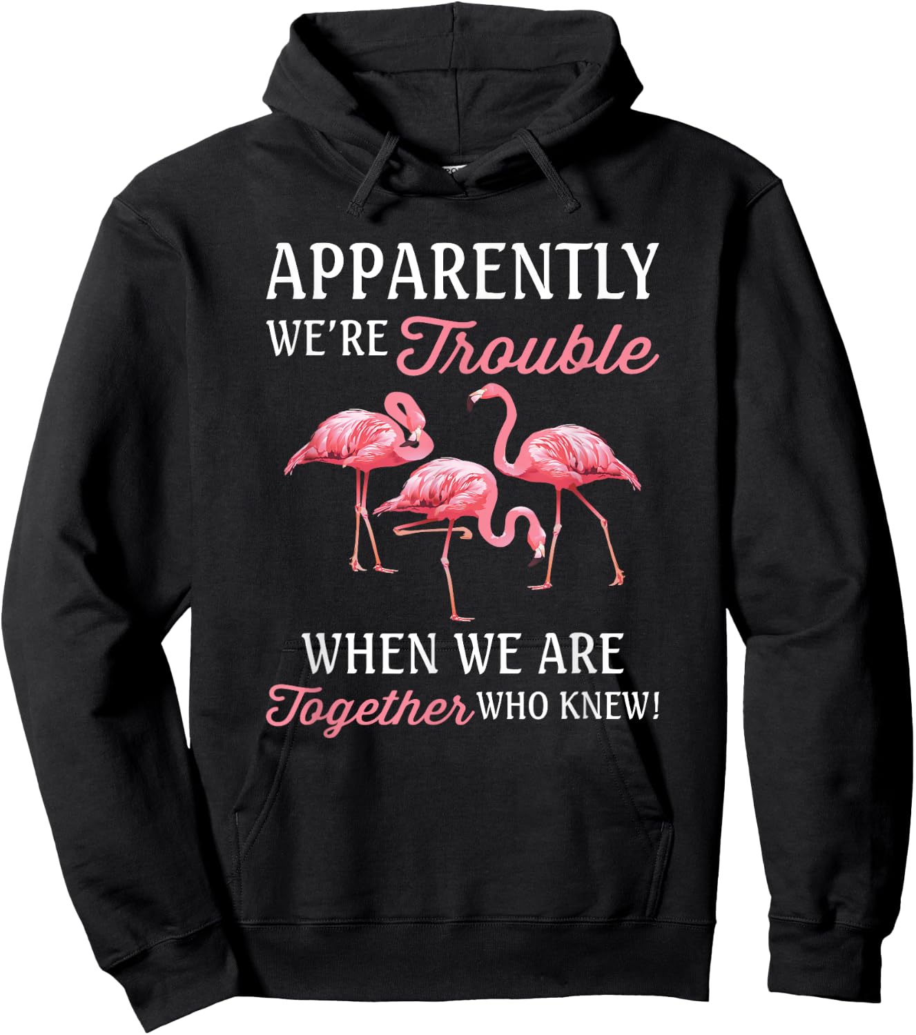 Apparently We're Trouble When We Are Together Who Knew Hoodie - Hoodie | Black