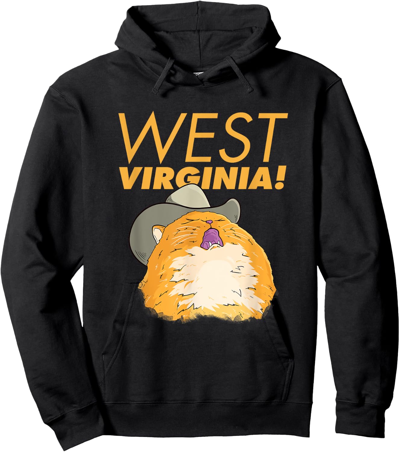 Country Cat Singing Meme Men Women Kids Hoodie - Hoodie | Black